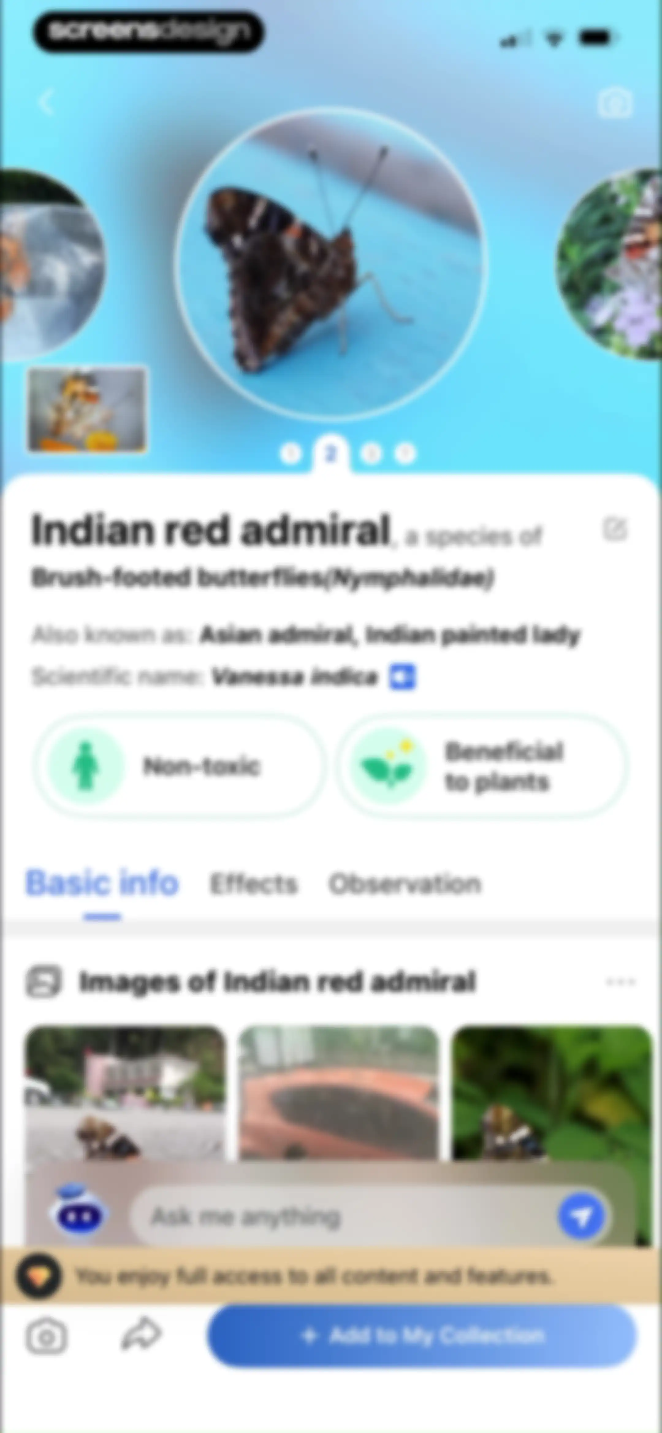 Picture Insect: Bug Identifier screen 52