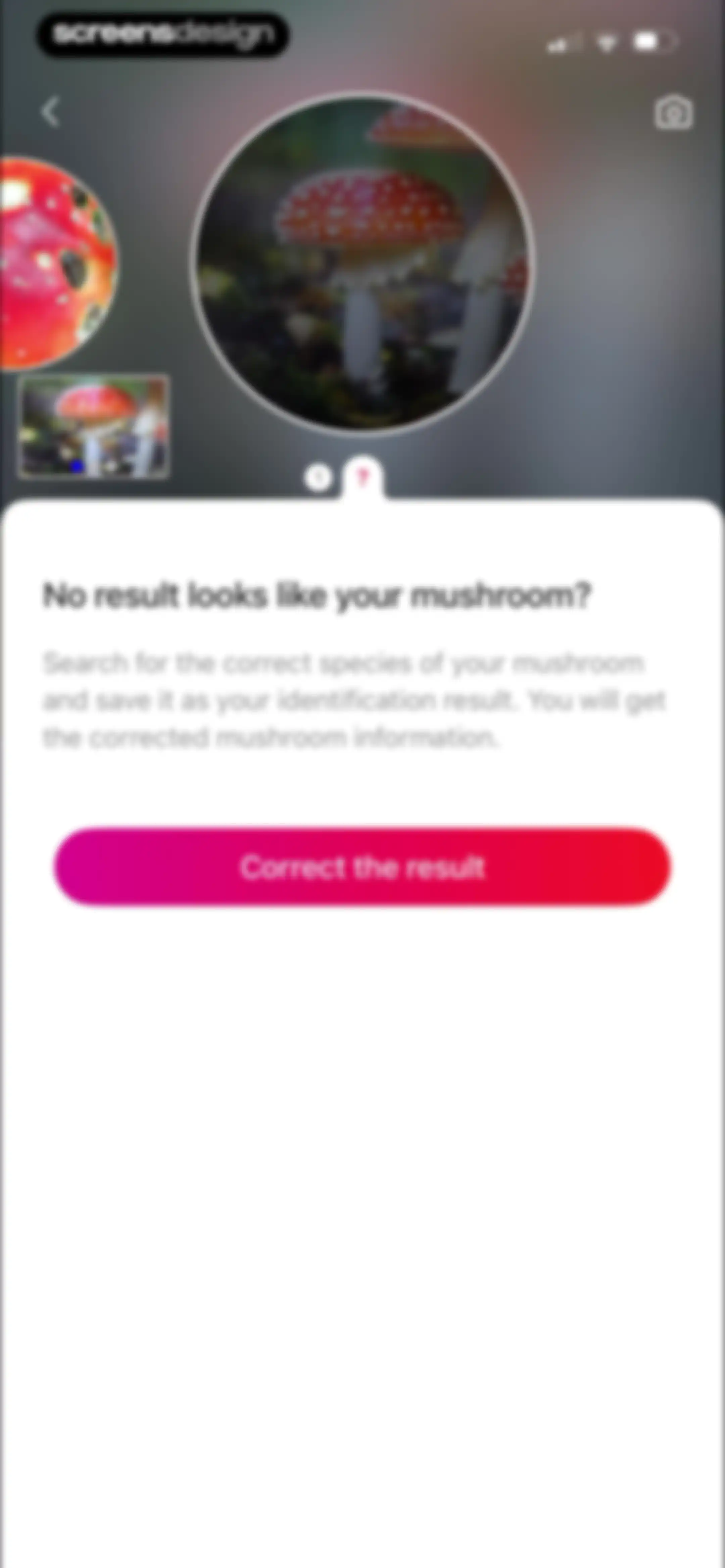 Picture Mushroom: Identifier screen 26