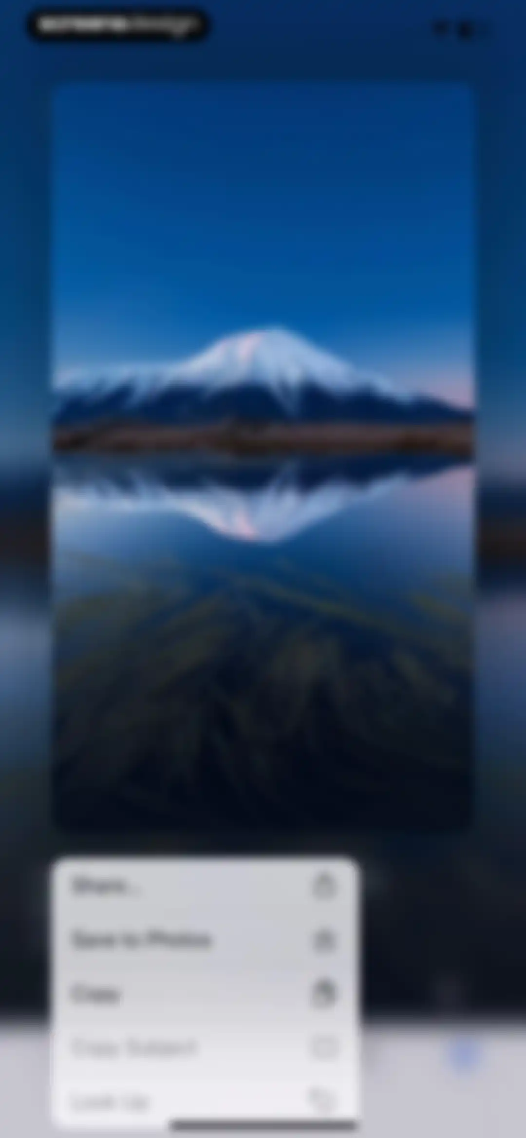 Microsoft Bing Search screen 263