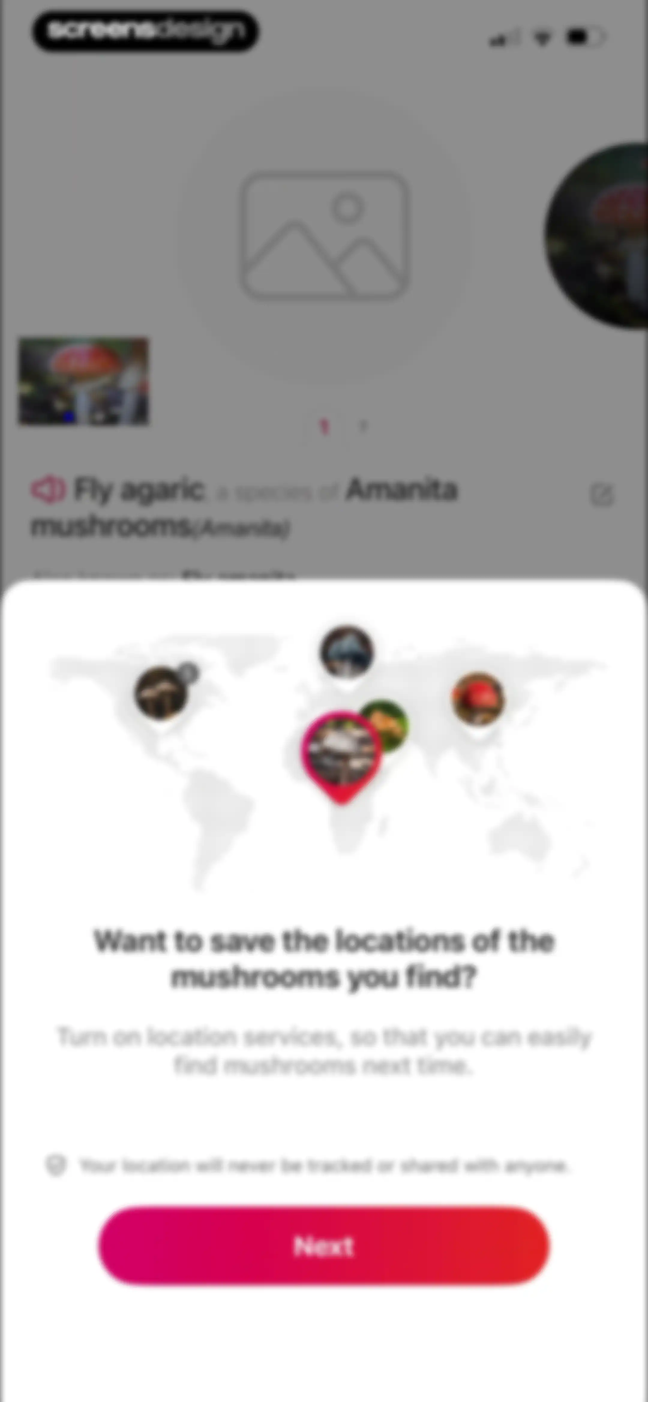 Picture Mushroom: Identifier screen 24