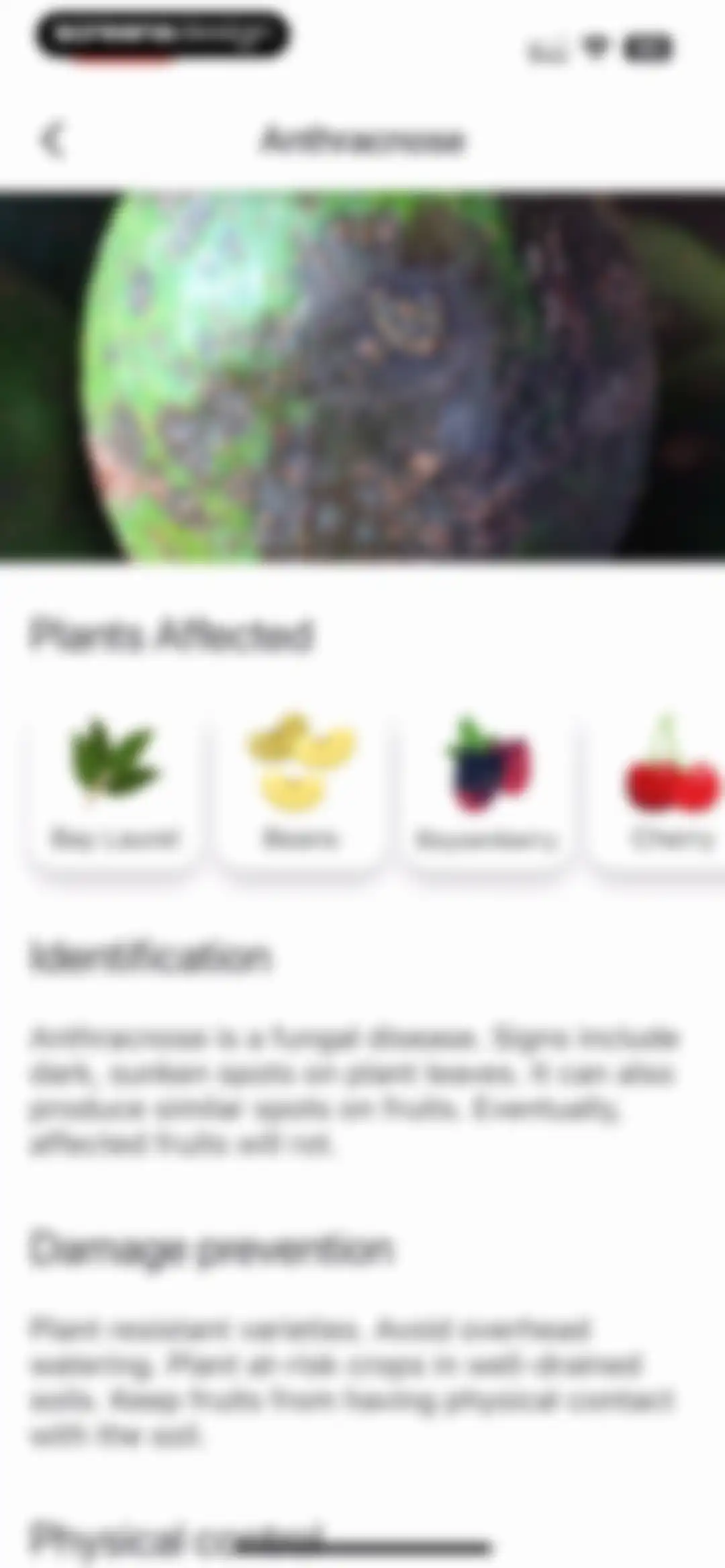 Planter: Garden Planner screen 81
