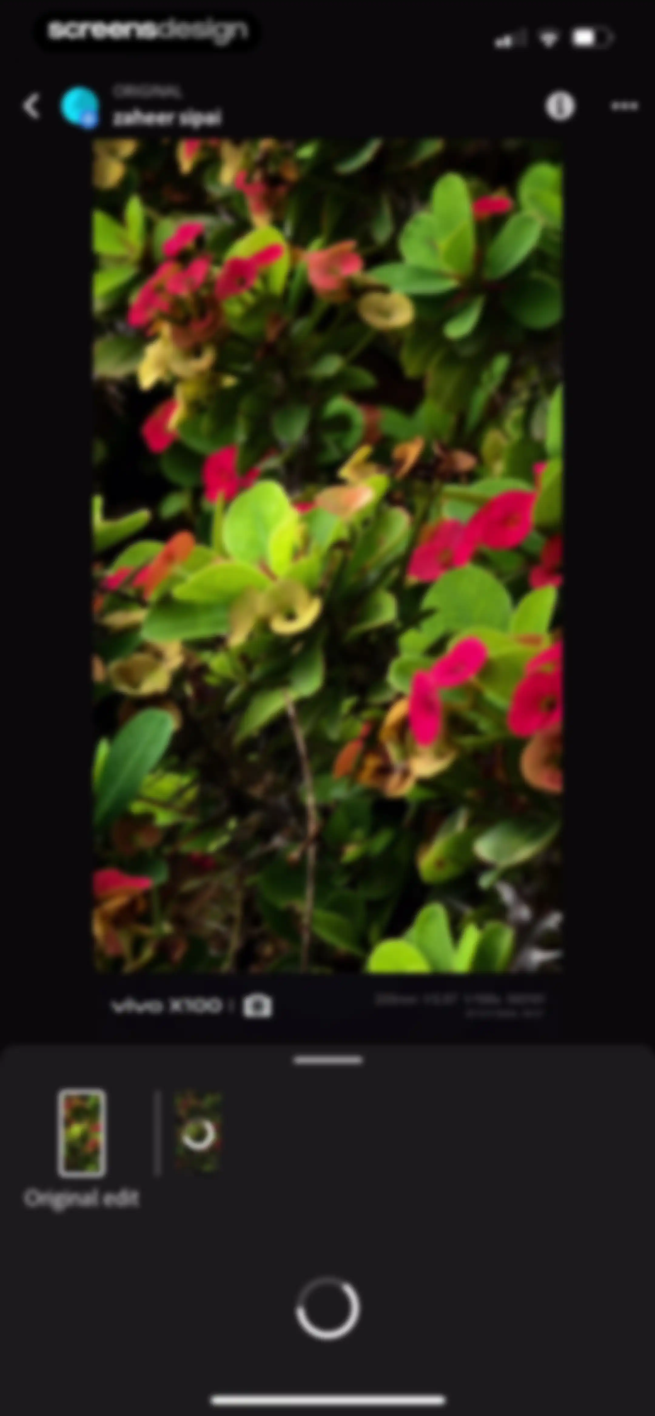 Lightroom: AI Photo Editor screen 175
