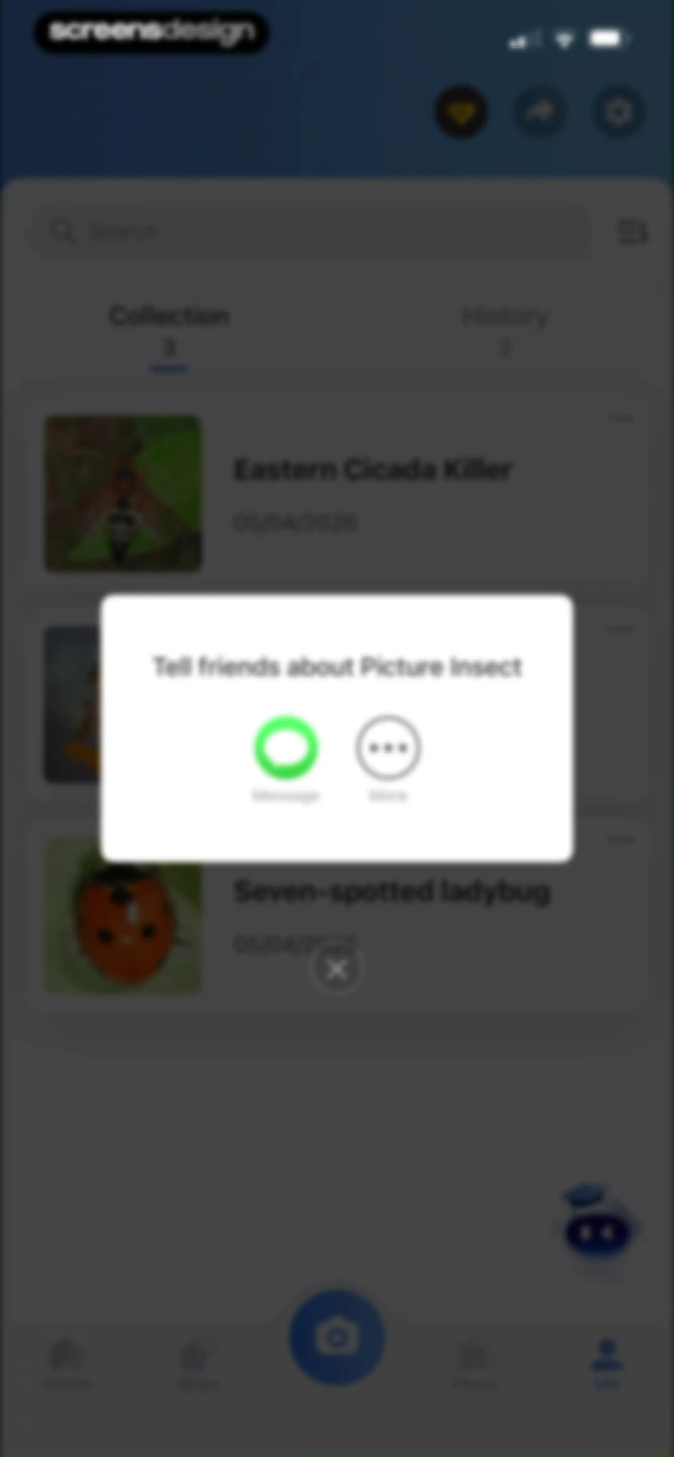 Picture Insect: Bug Identifier screen 108