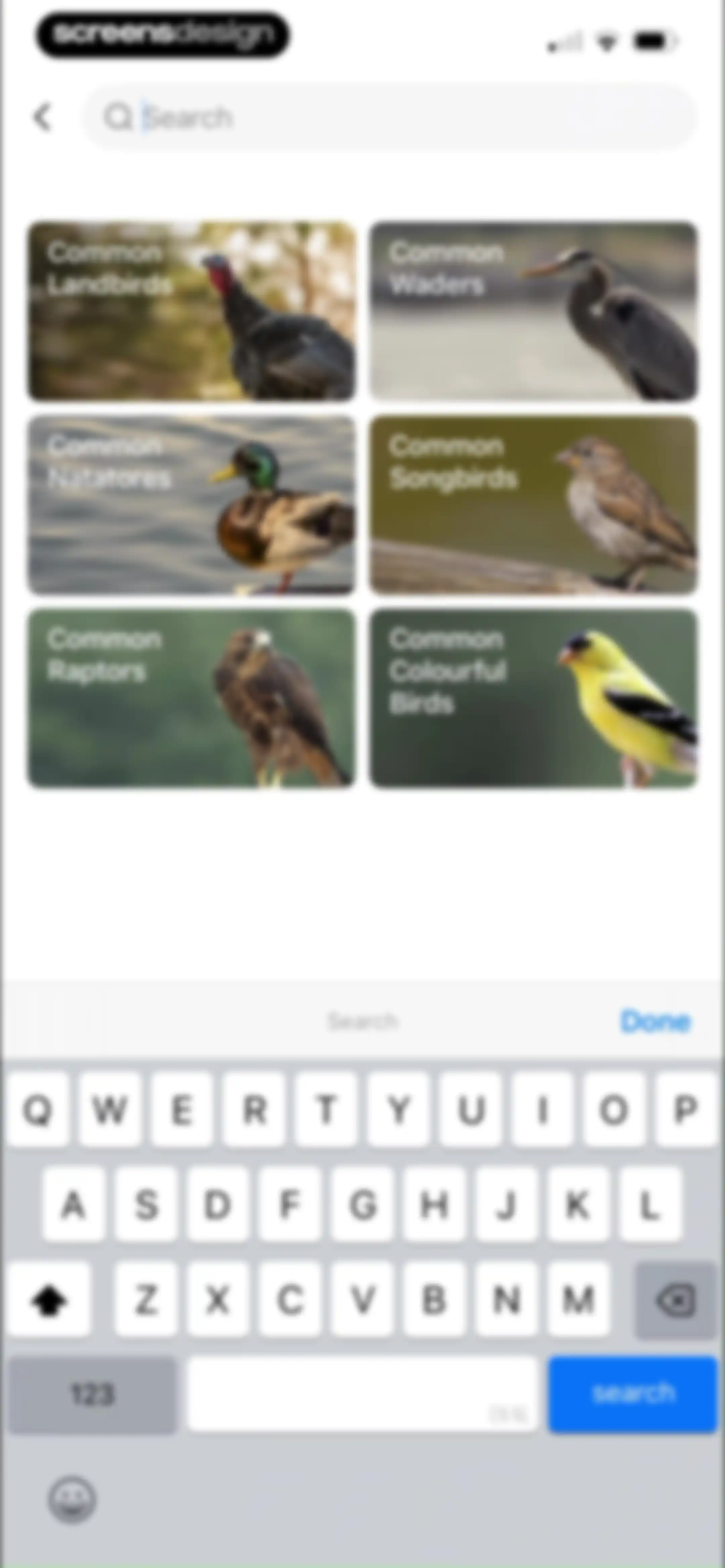 Picture Bird: Bird identifier screen 91