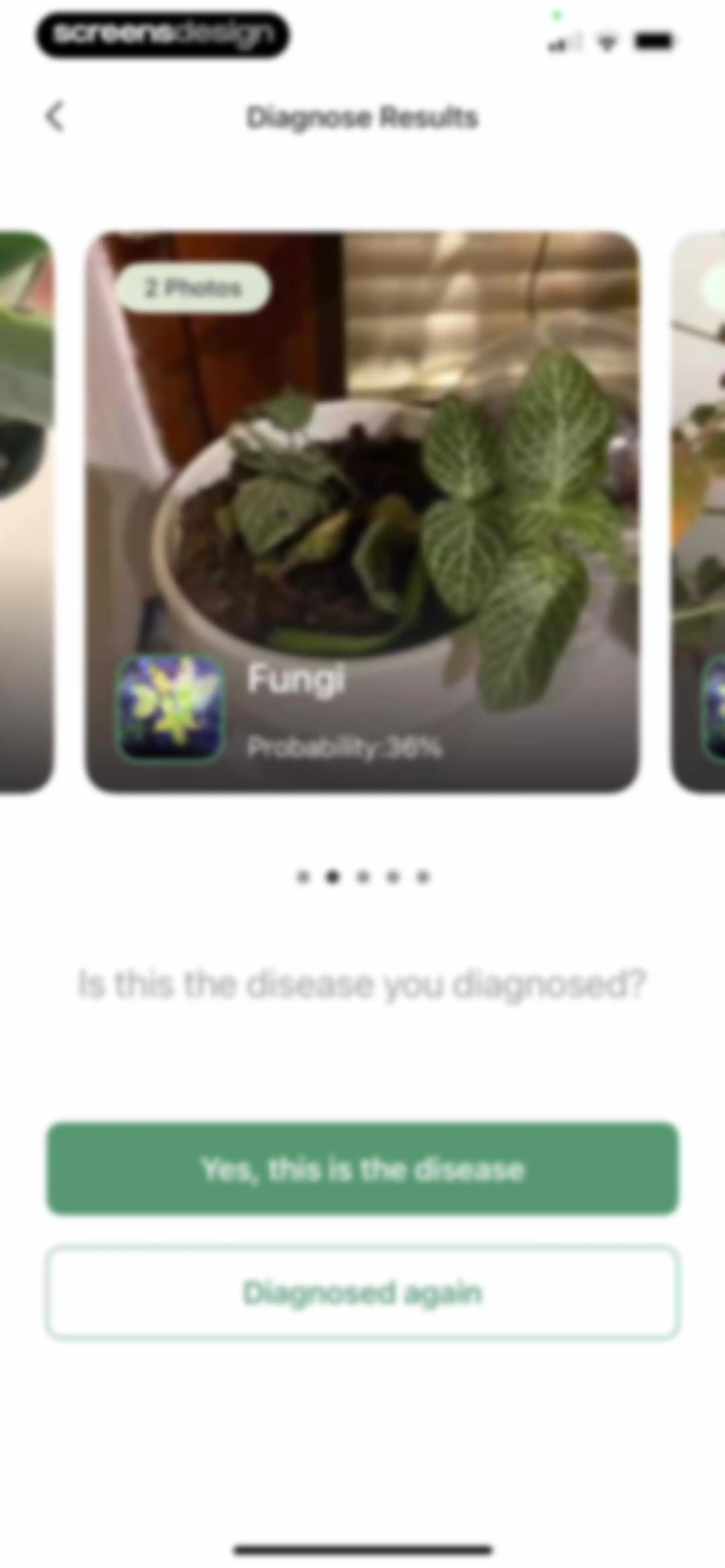 Verde Finder : identify plants screen 26