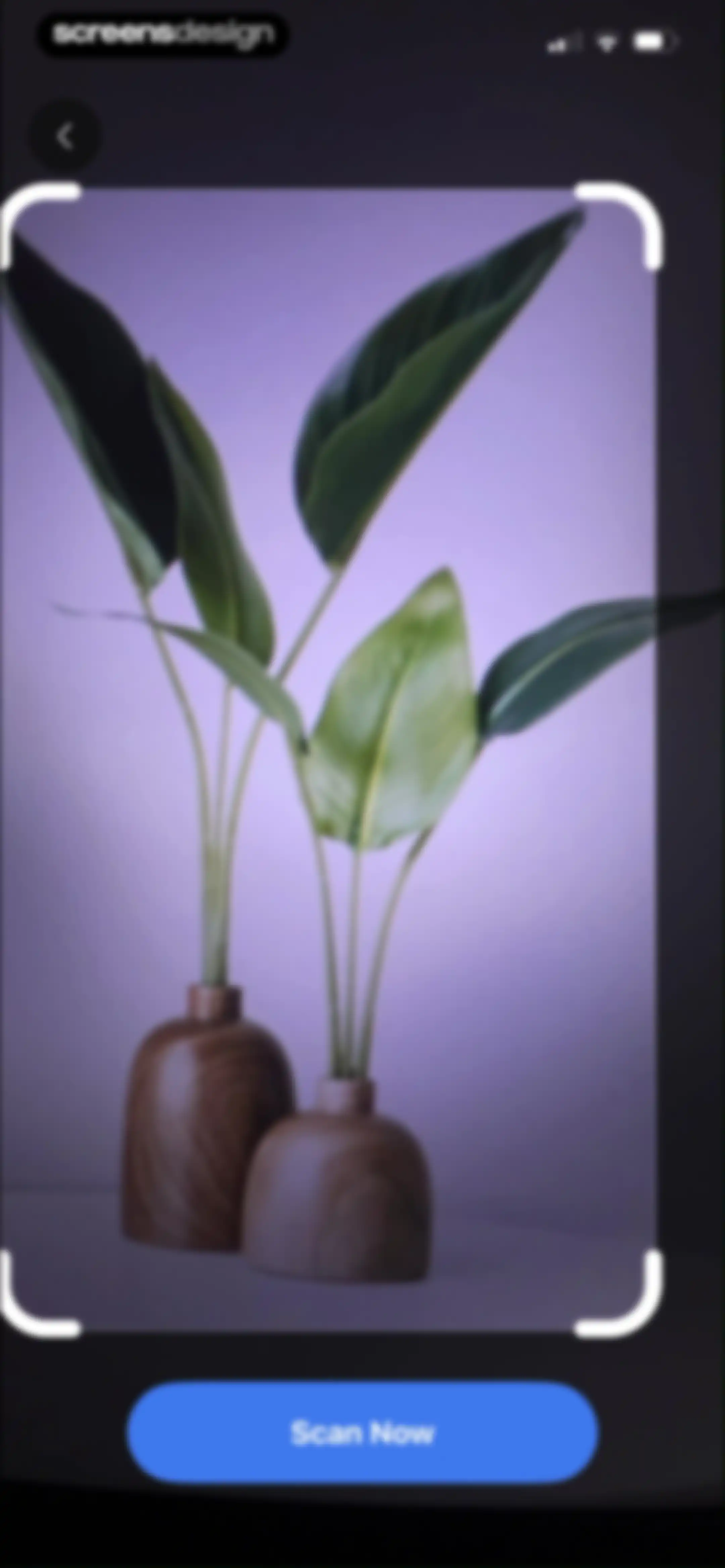 Lens Scan: Identify Anything screen 18