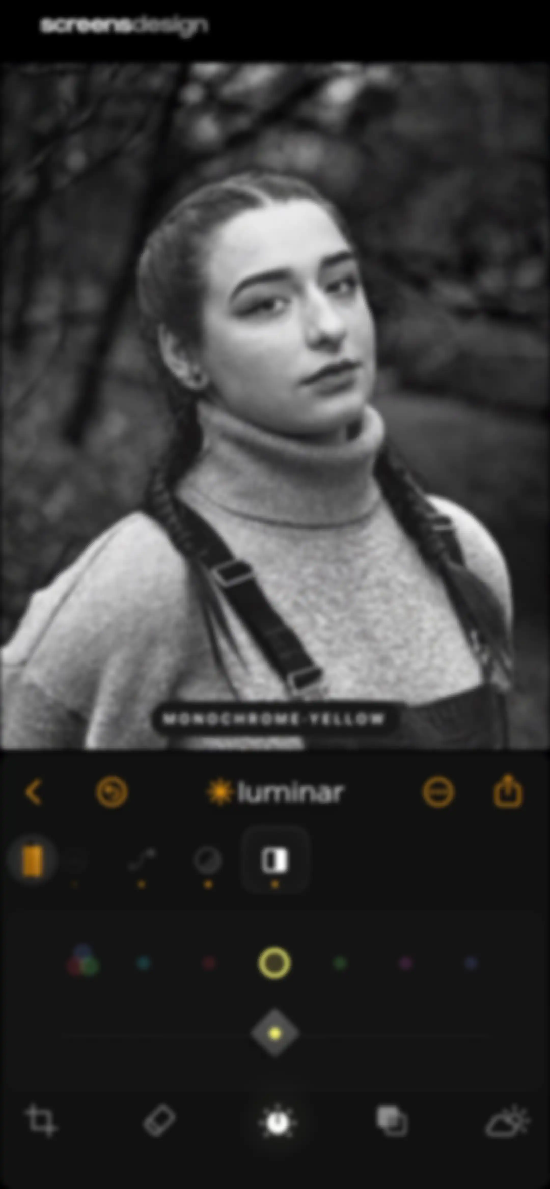 Luminar: Image Editor&Enhancer screen 33