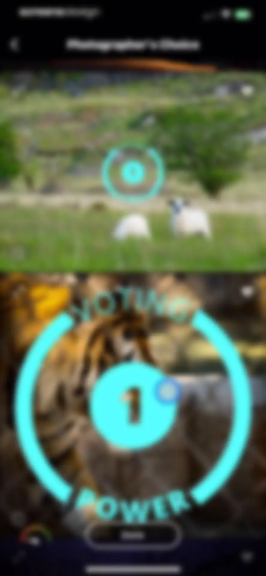 GuruShots: Photography Game screen 15