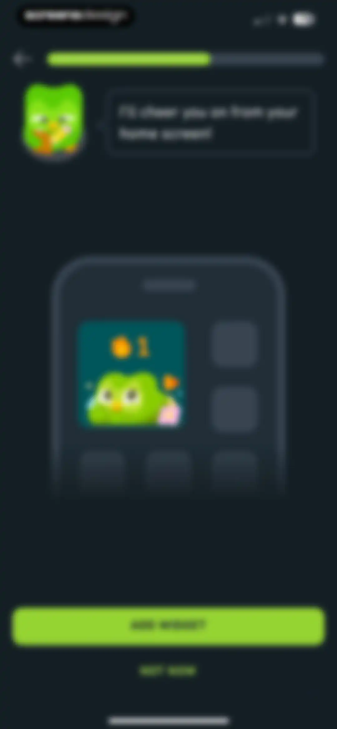 Duolingo: Language Lessons screen 16