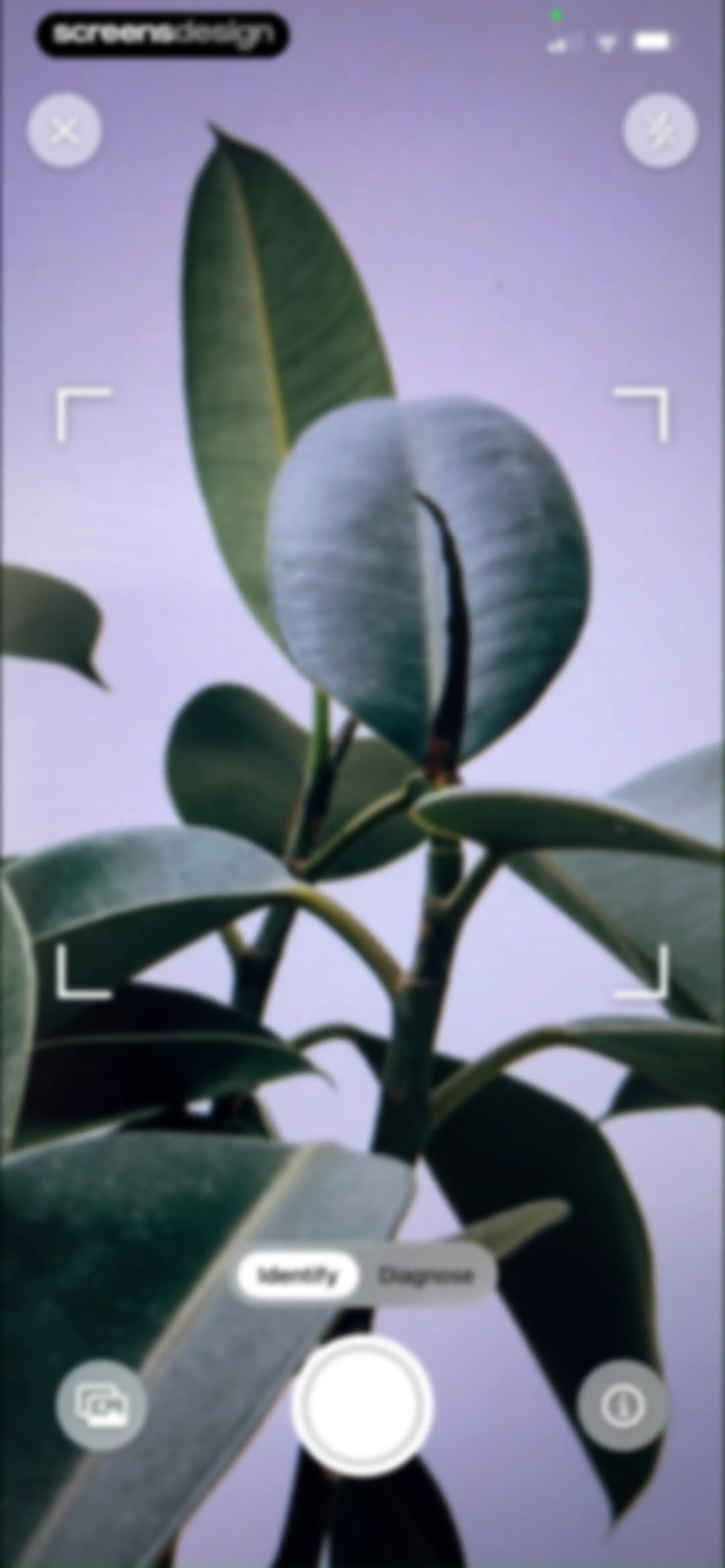 FloraSnap: Plant Scanner screen 31