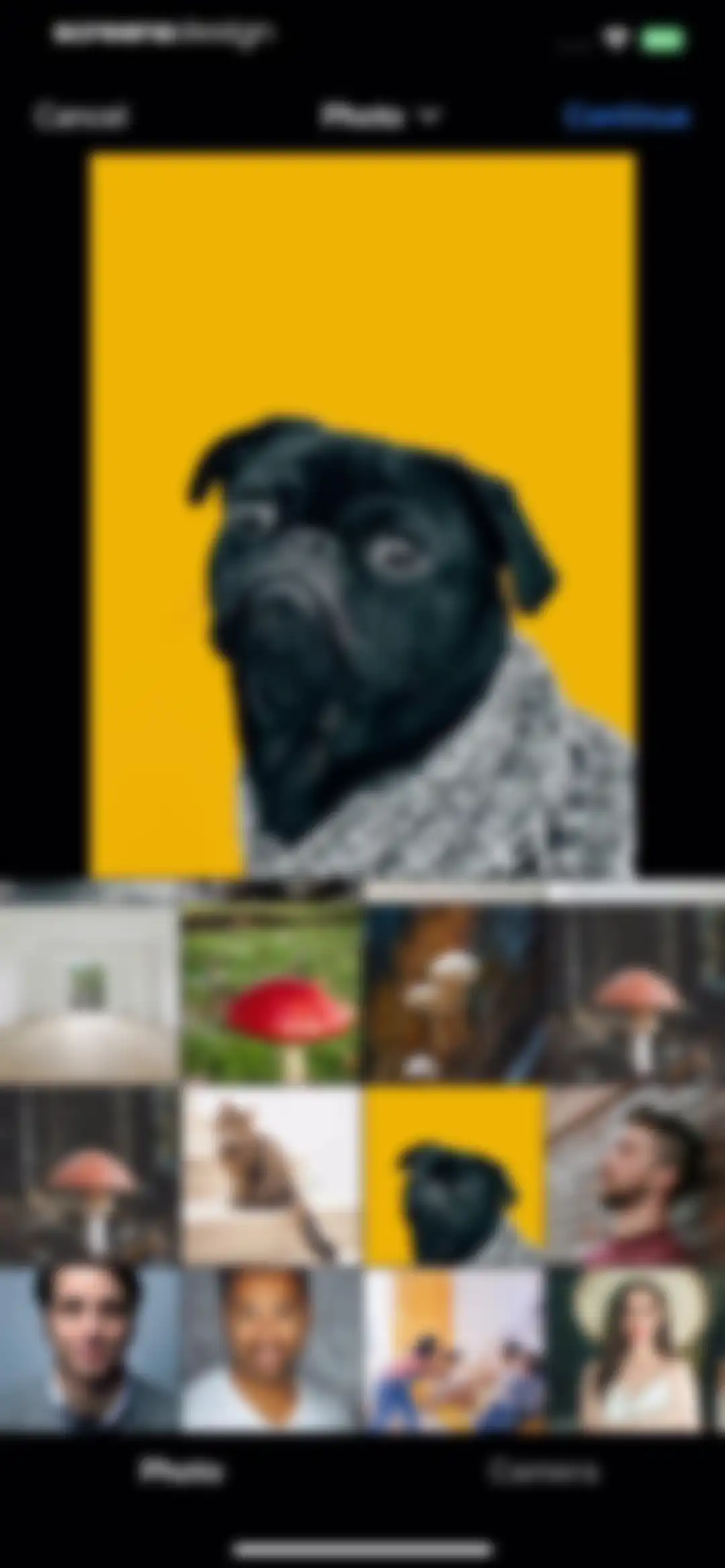 My Talking Animal & Pet App screen 13