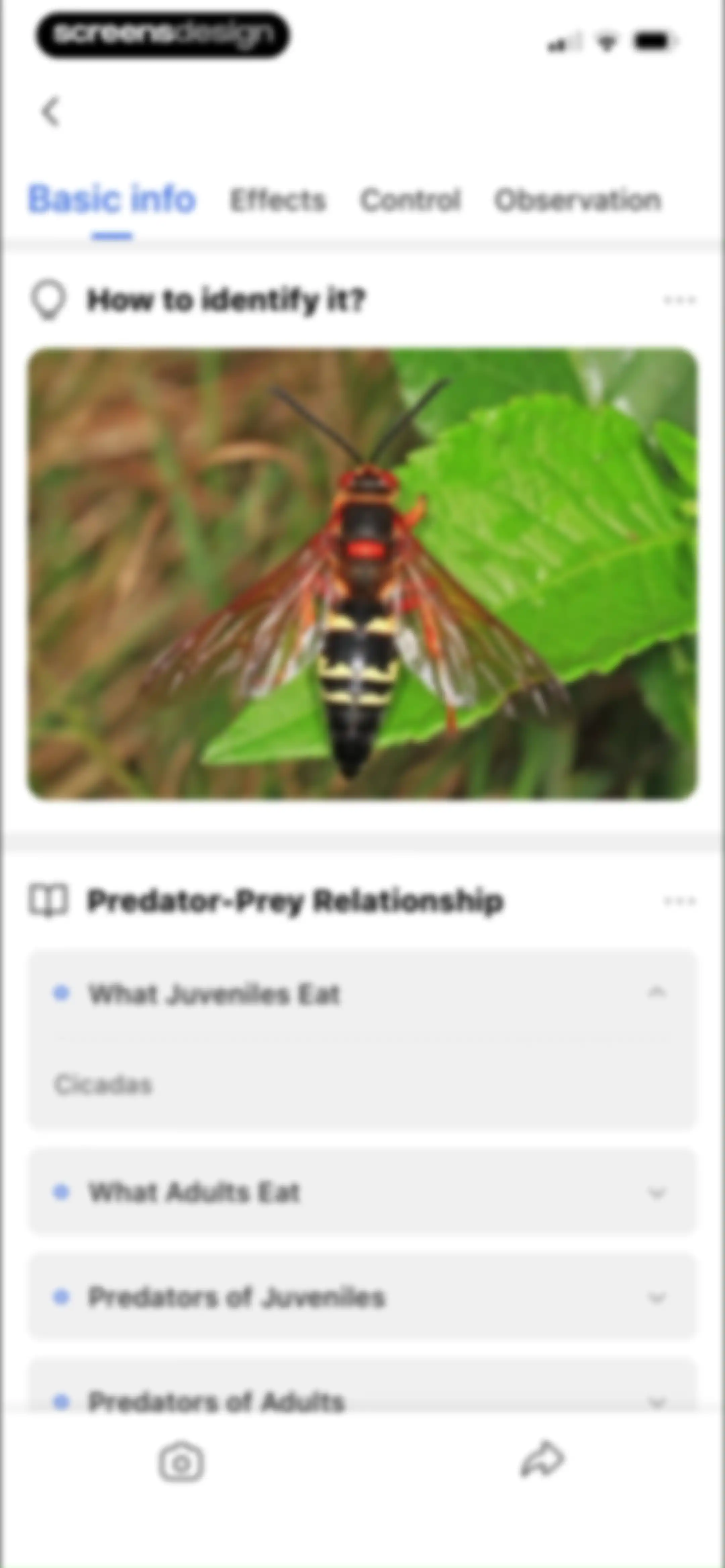 Picture Insect: Bug Identifier screen 35