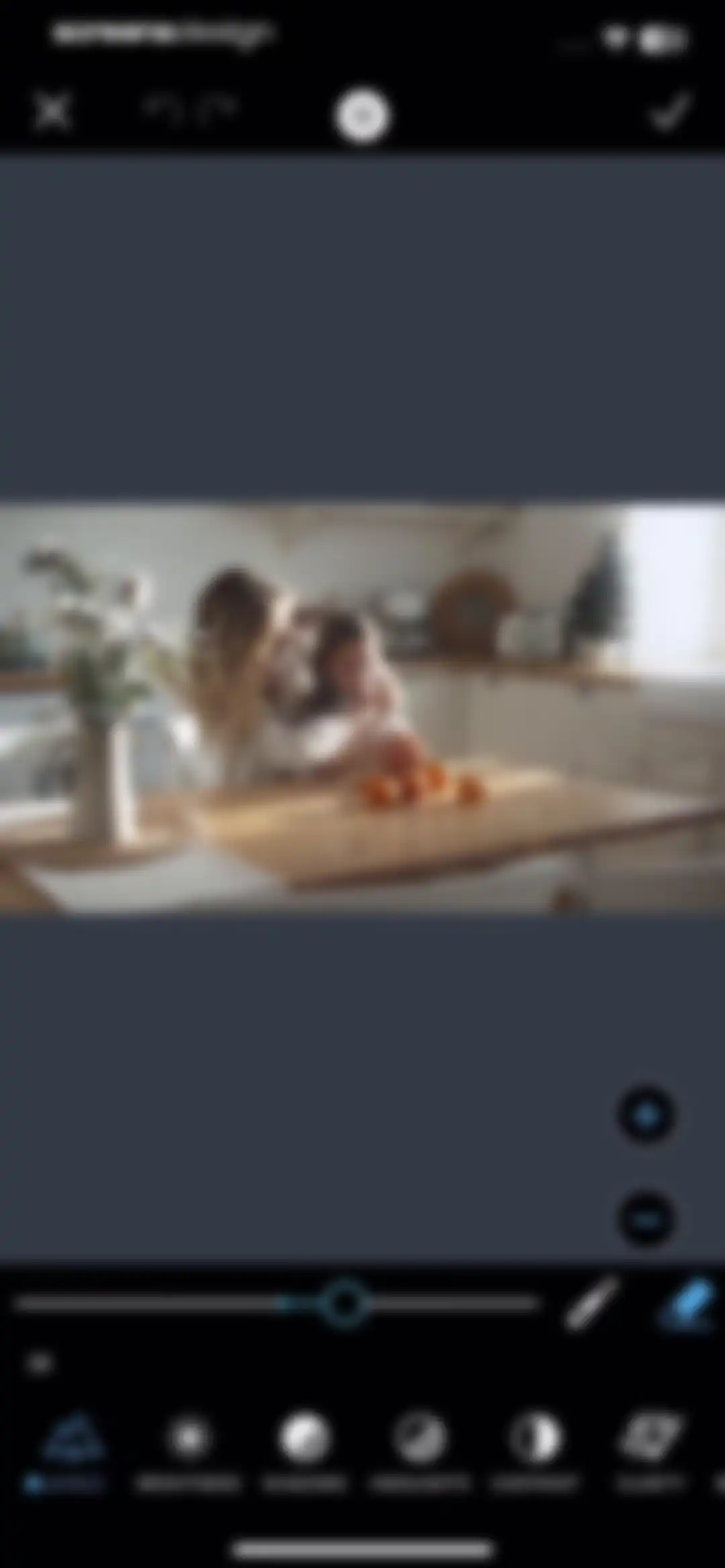 PicMonkey Photo + Video Design screen 81
