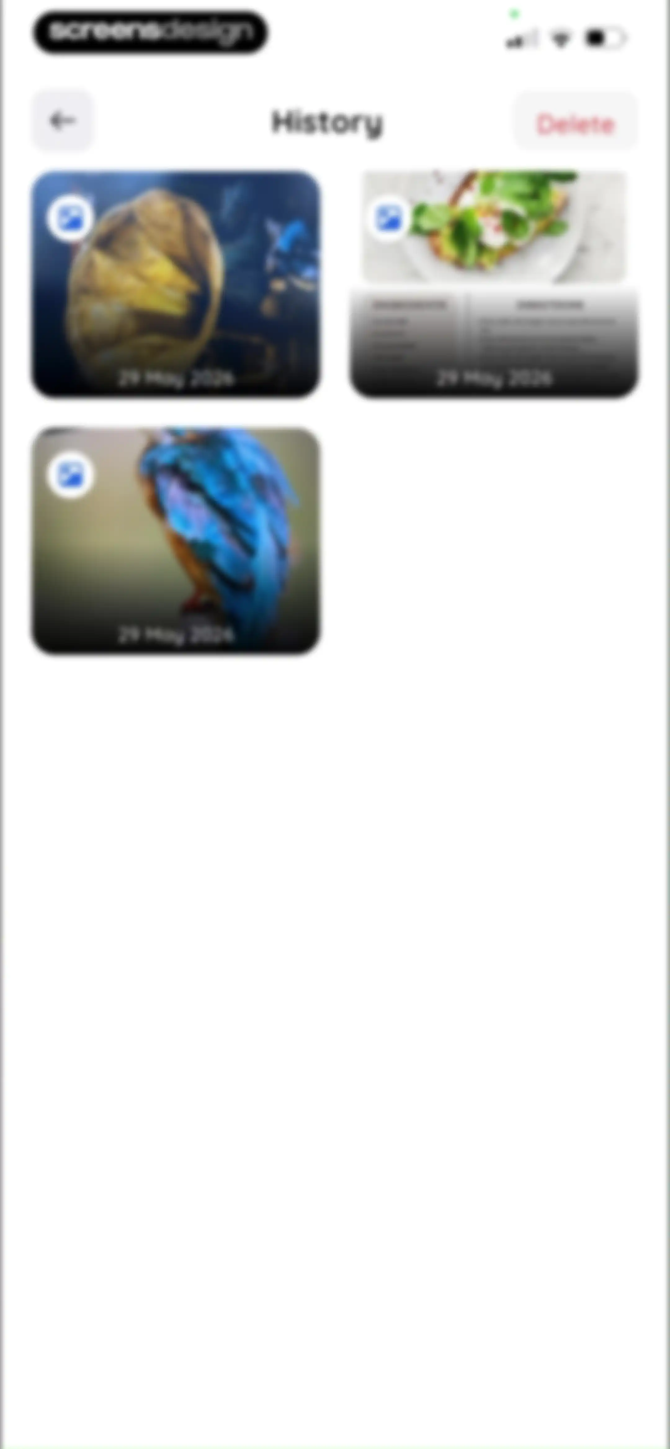 Lens: Translate & Image Search screen 48