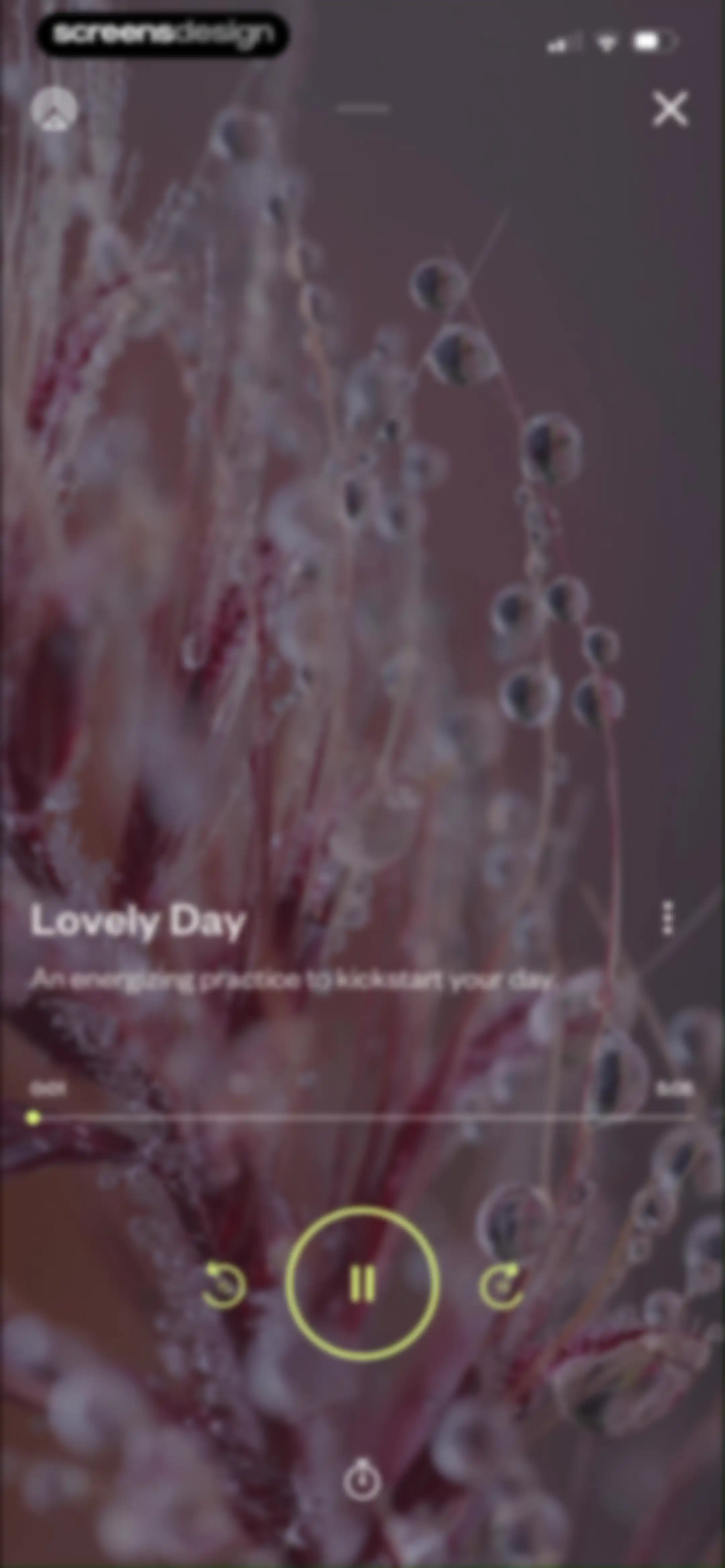 Othership: Guided Breathwork screen 21