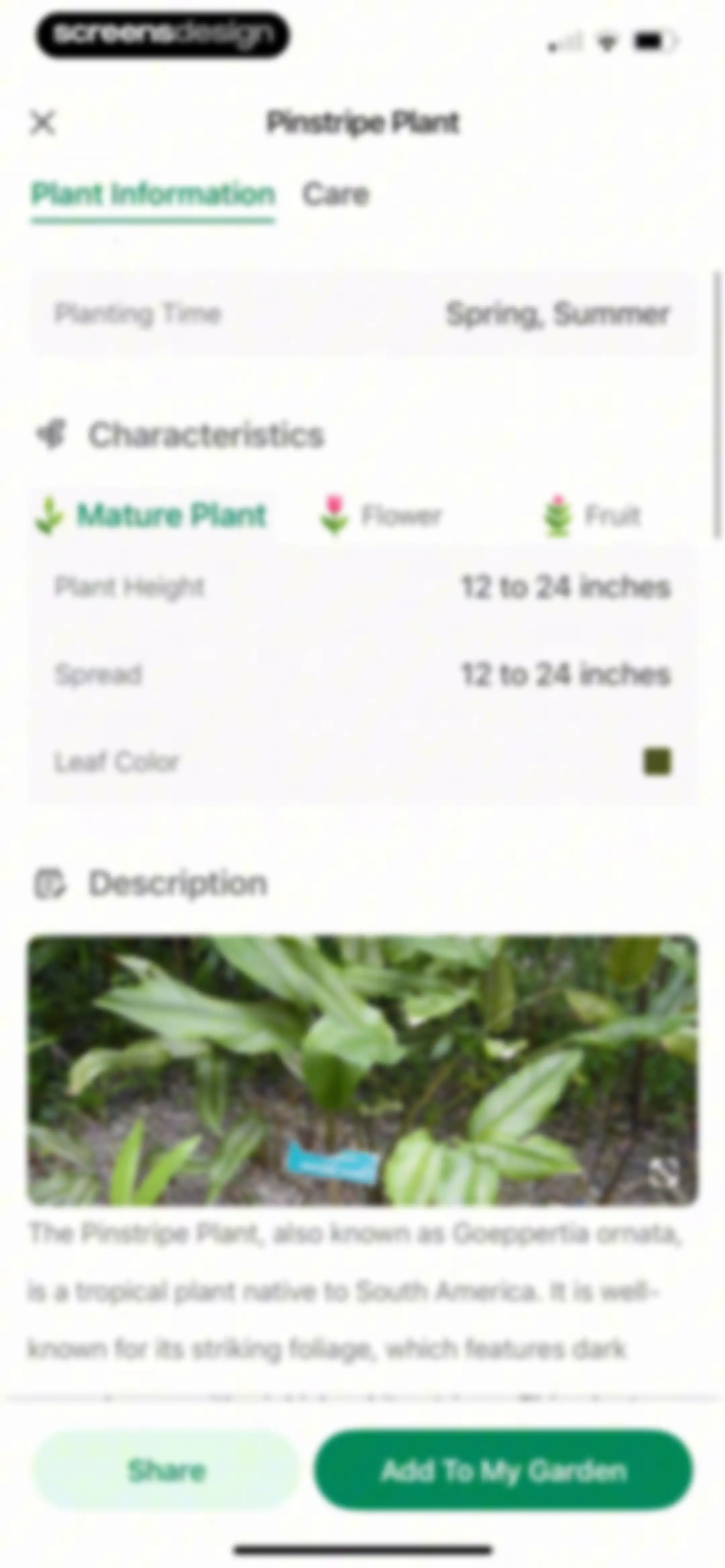 Identify My Plant Now screen 32