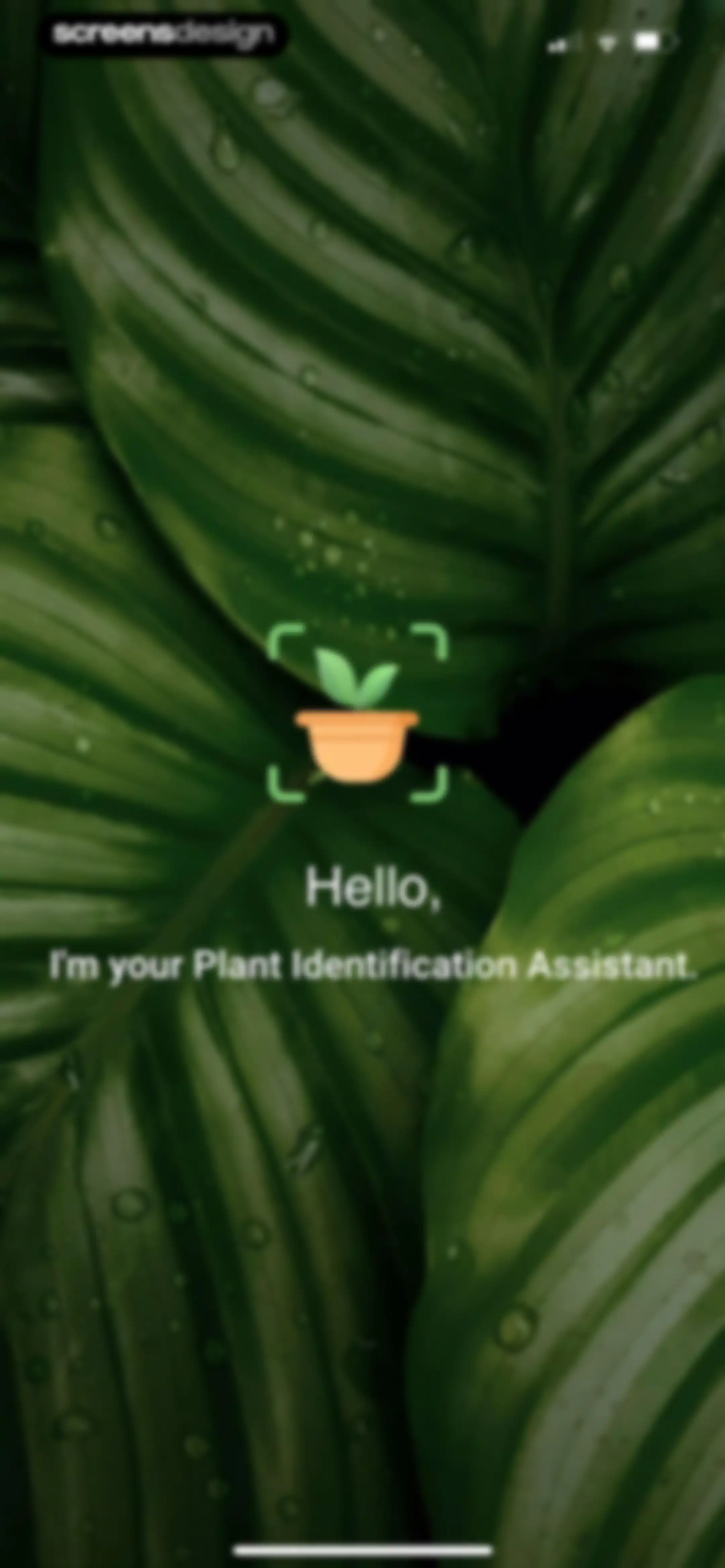 PlantDaily: AI Plant Care screen 4