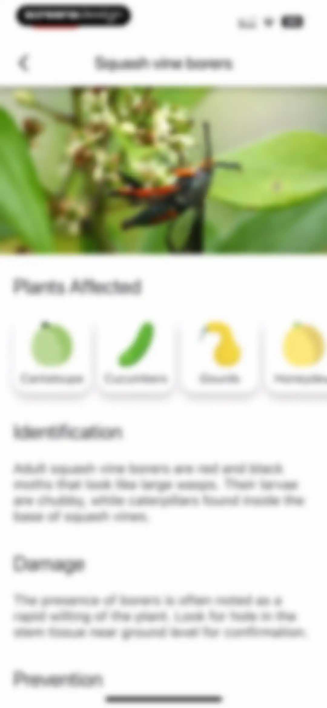 Planter: Garden Planner screen 83