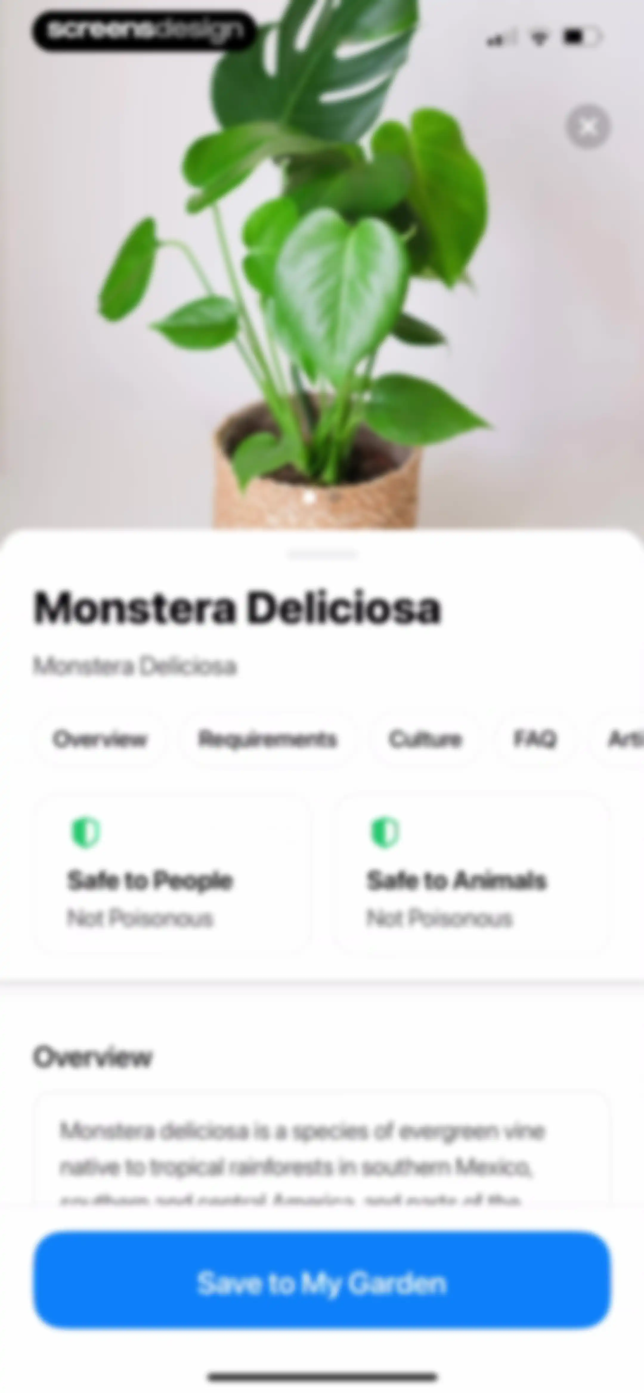 Plant App: Plant Identifier screen 16