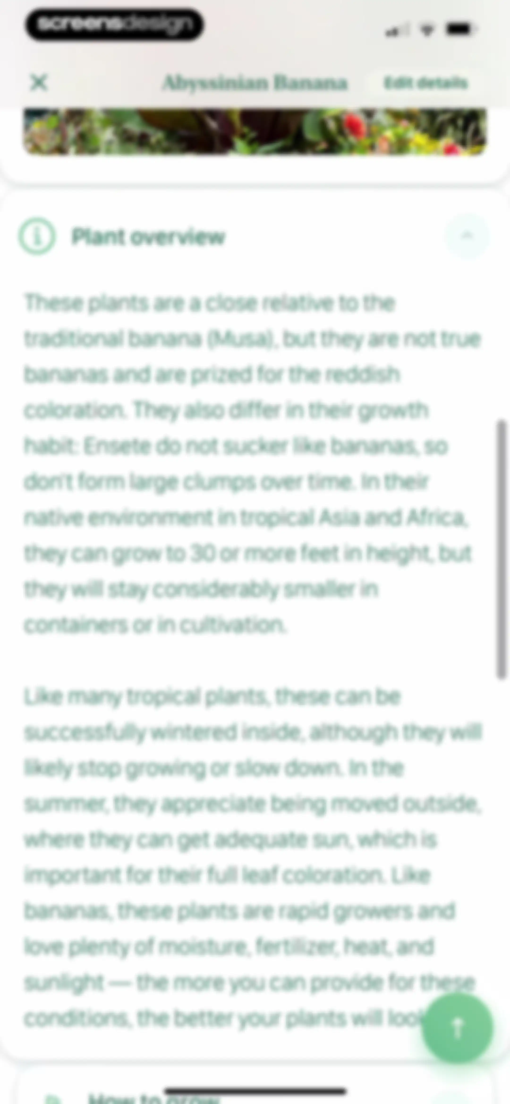 Blossom - Plant Care Guide screen 88