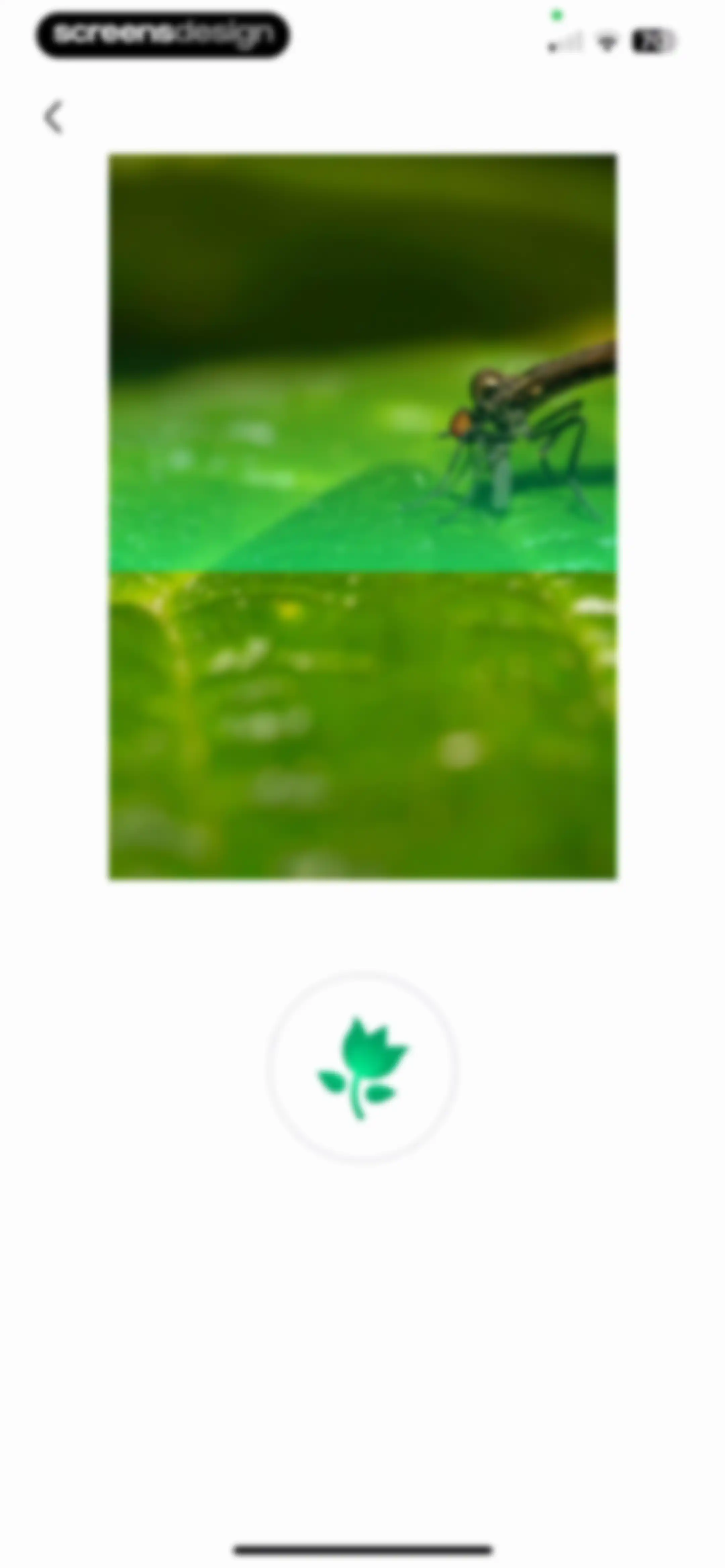 PictureThis - Plant Identifier screen 209
