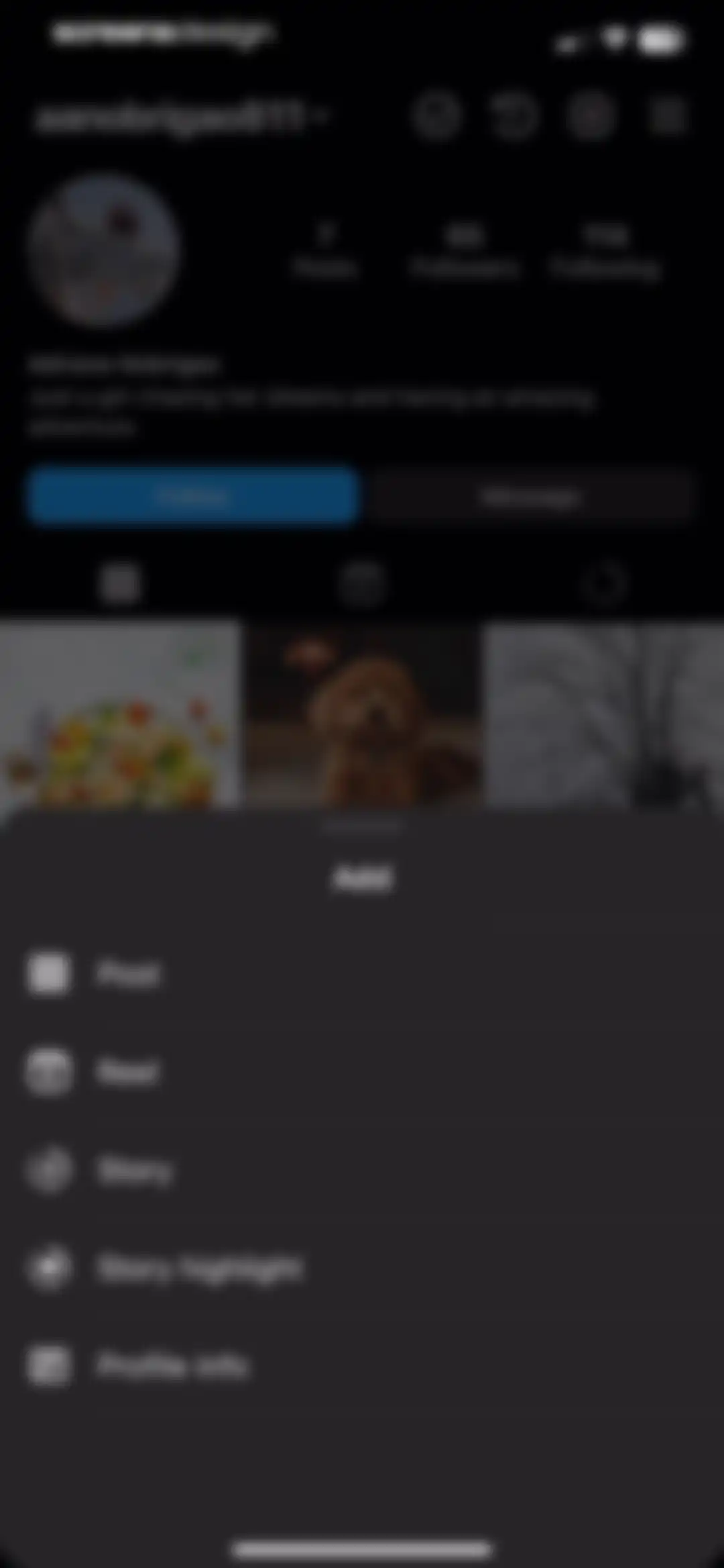 My Feed・Grid Preview & Planner screen 16