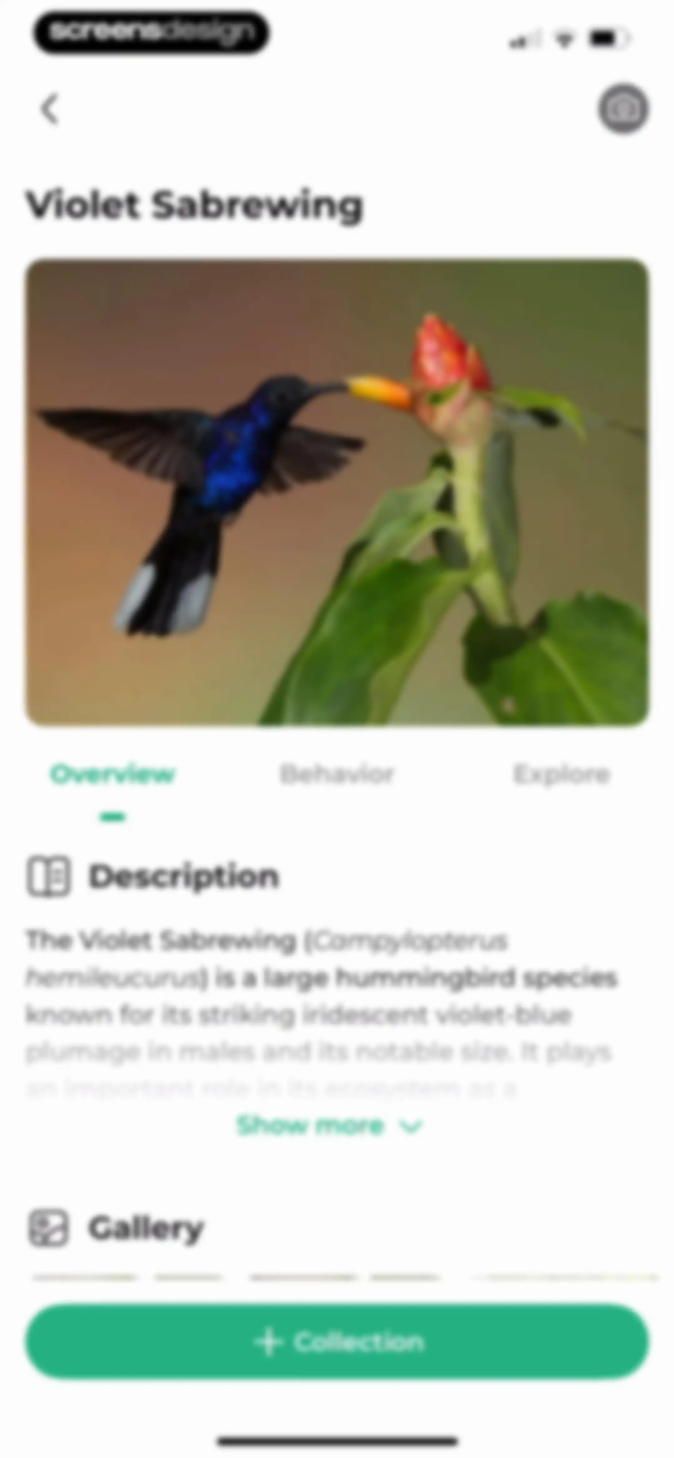 Bird Identifier: BirdScope screen 51