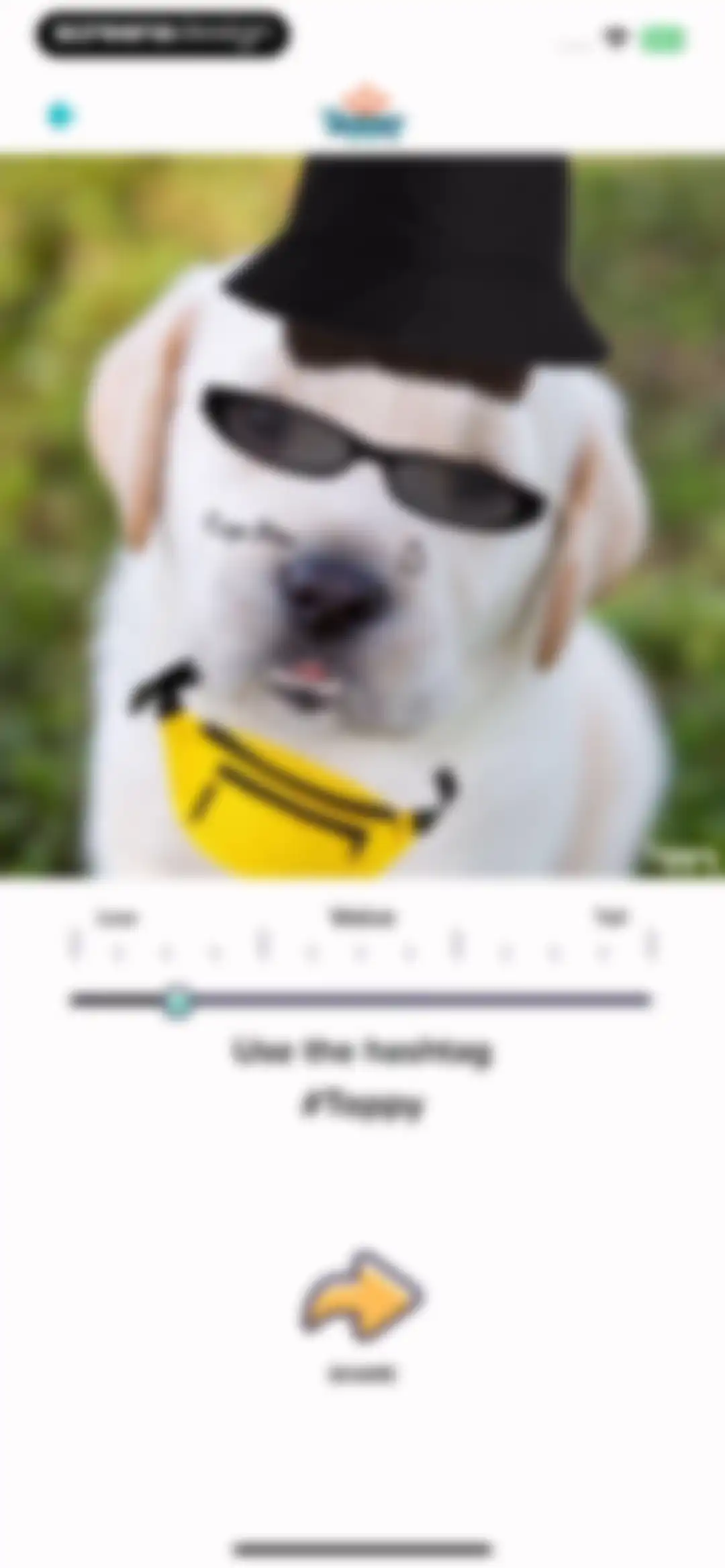 My Talking Animal & Pet App screen 22