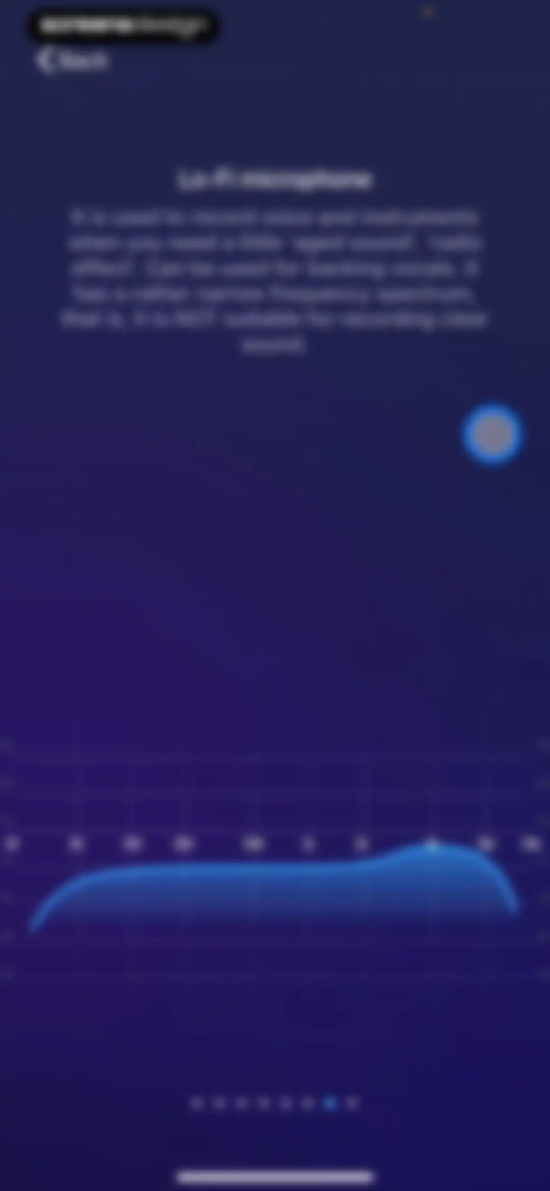 Pro Microphone: Voice Record screen 21
