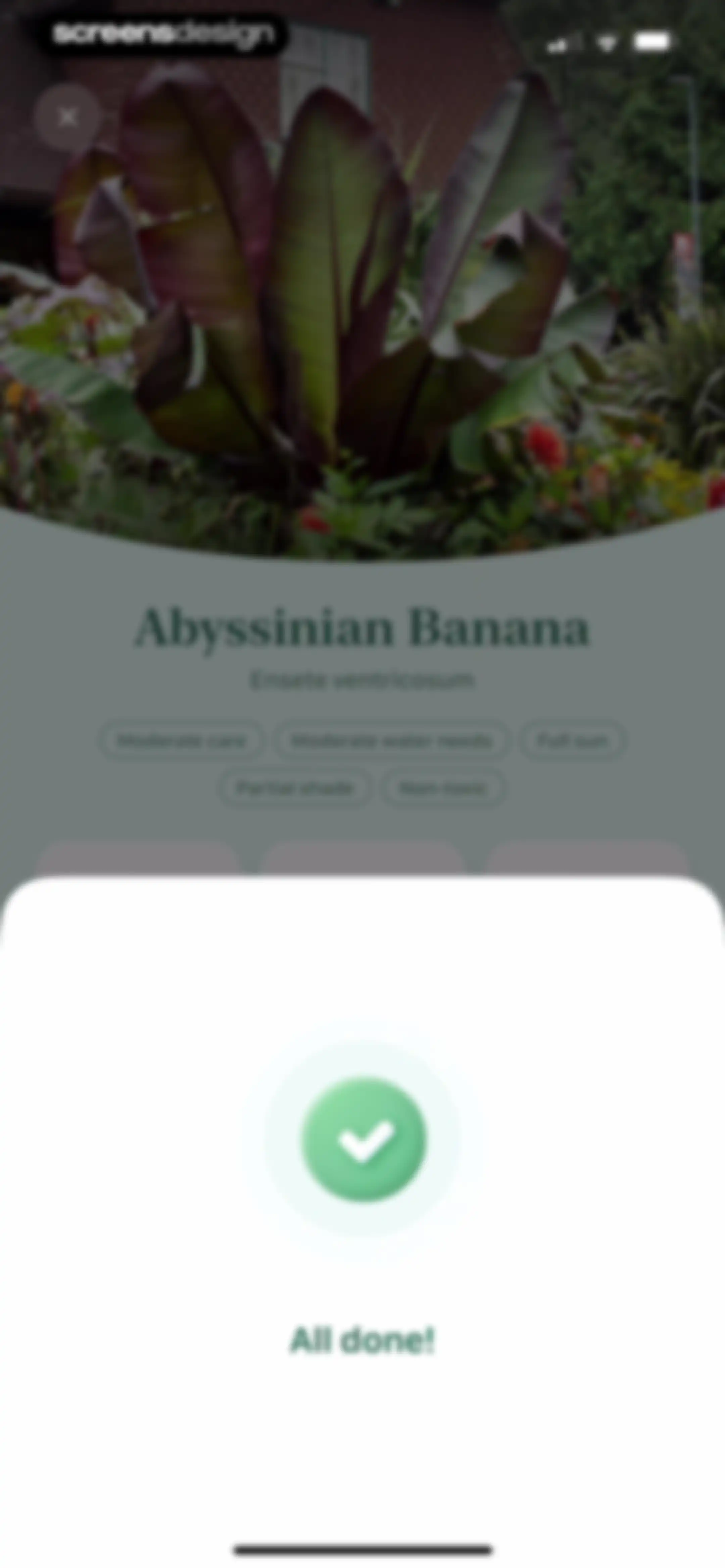 Blossom - Plant Care Guide screen 45