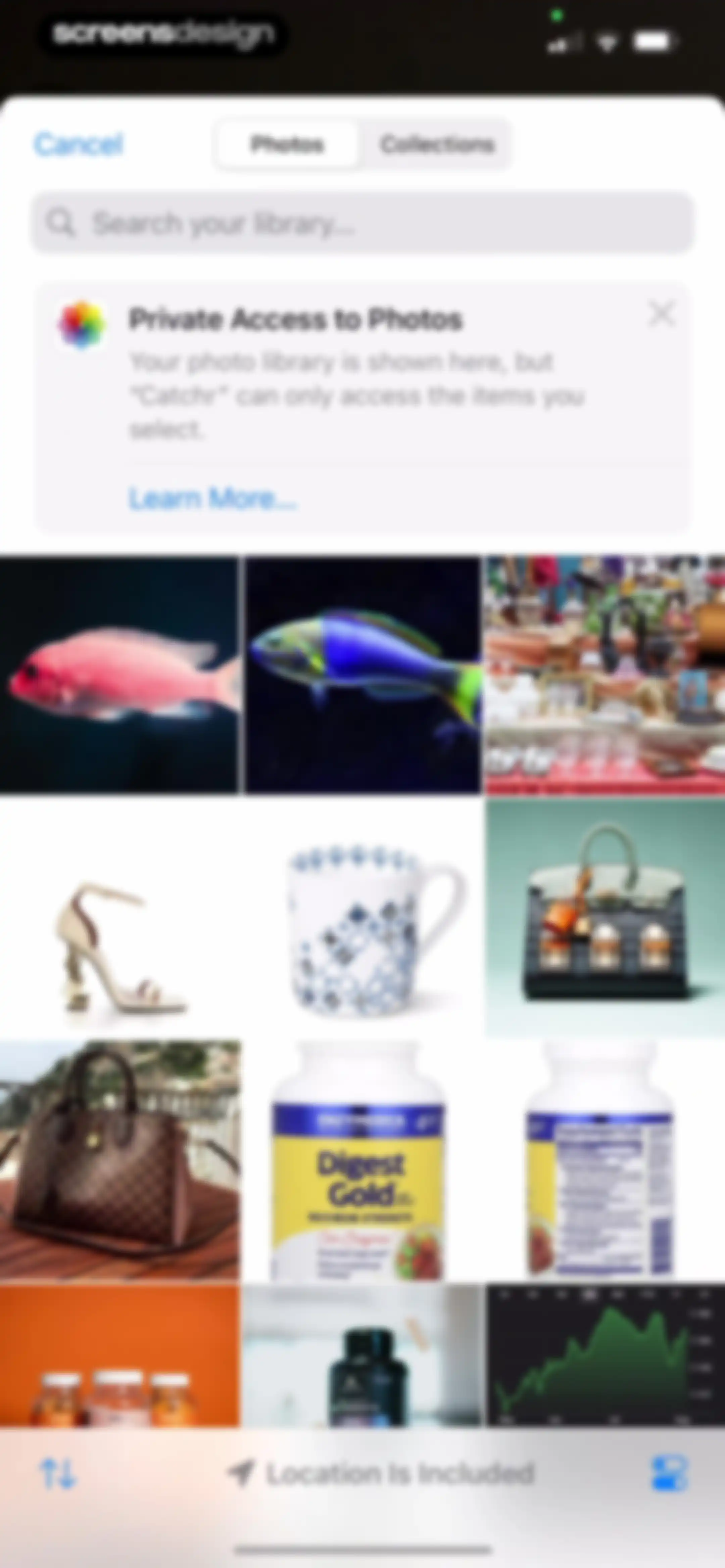 Catchr: Fish Identifier screen 83