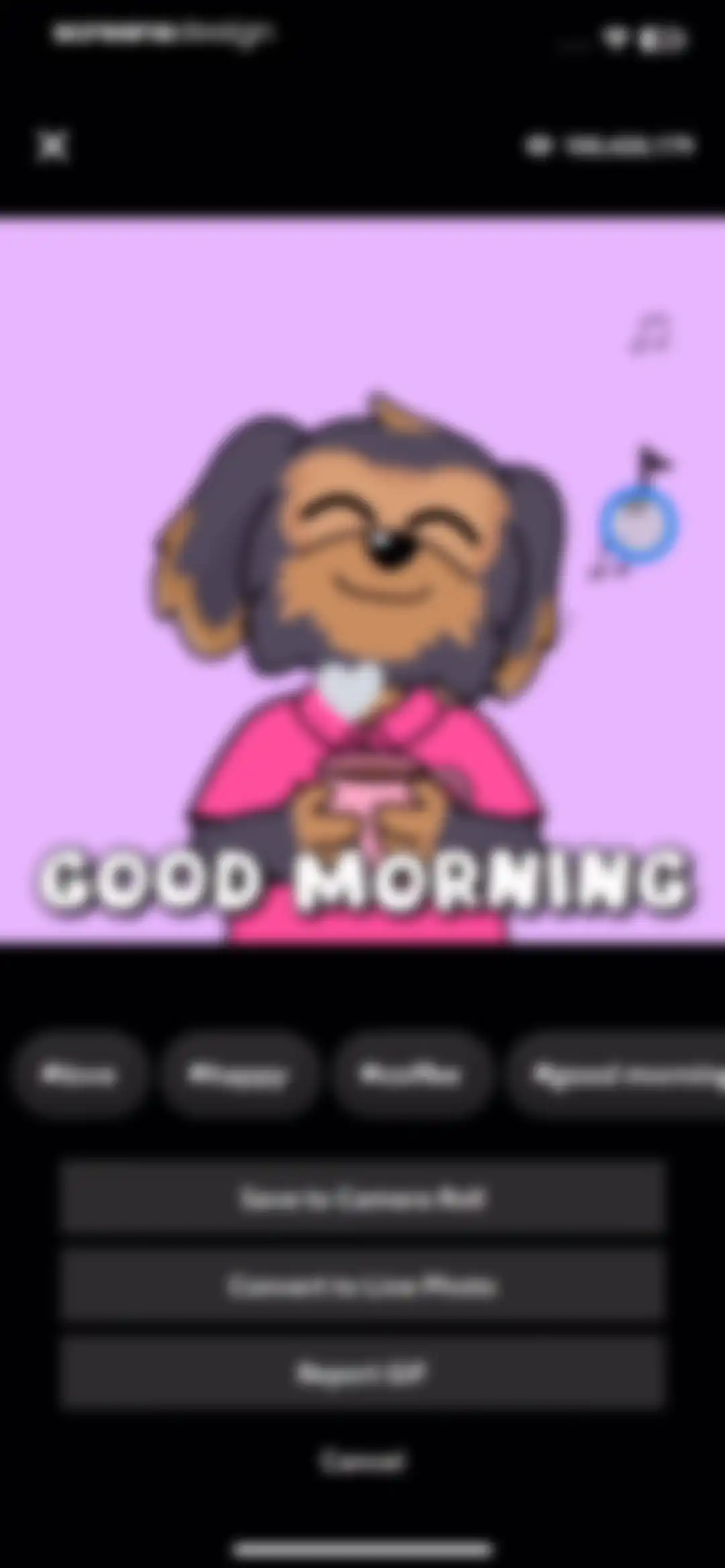 GIPHY: The GIF Search Engine screen 18
