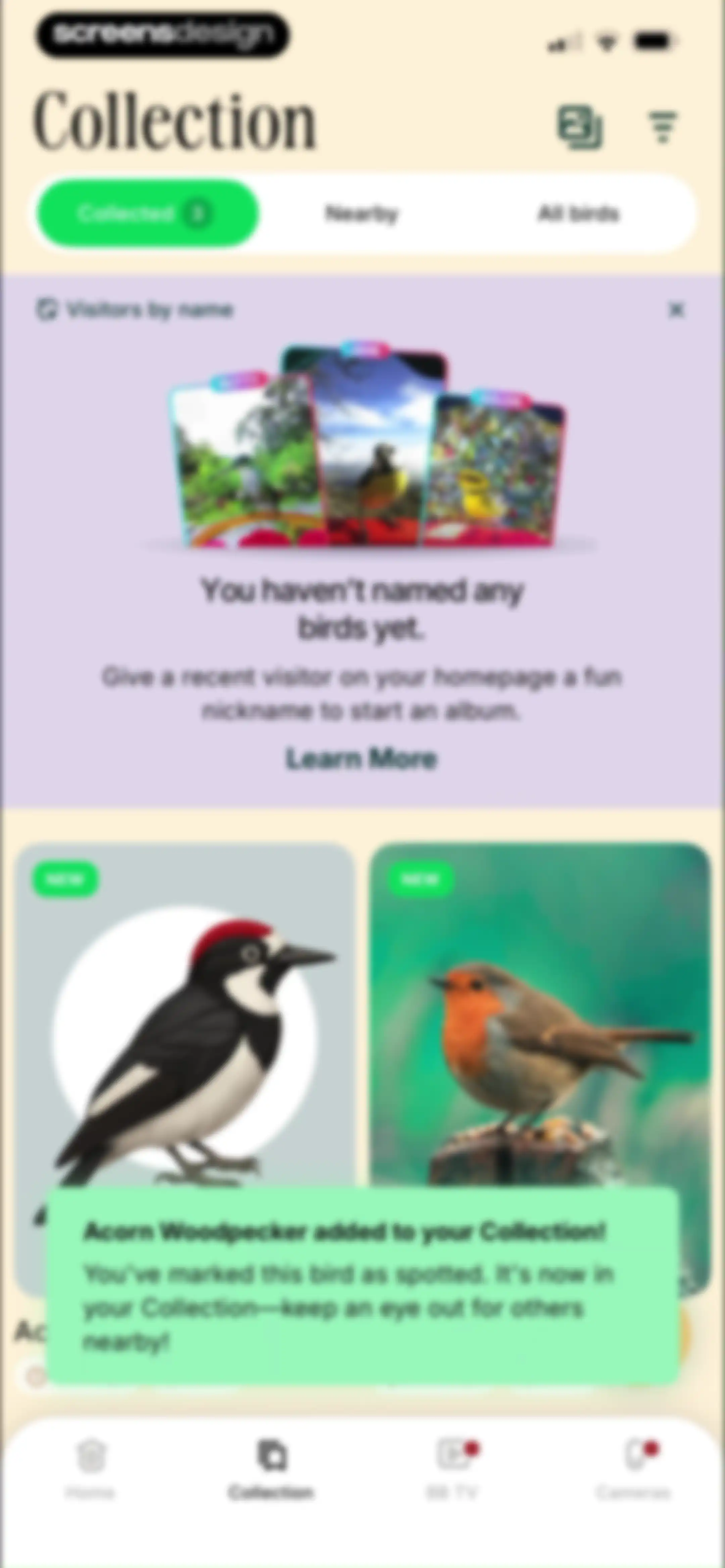 Birdbuddy: ID & Collect Birds screen 61