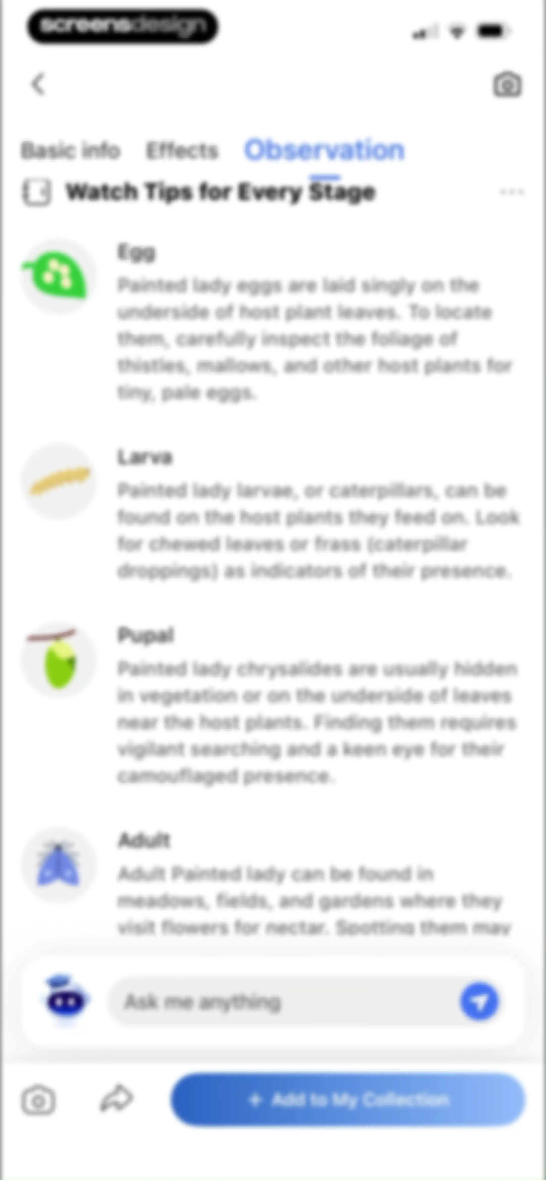 Picture Insect: Bug Identifier screen 56