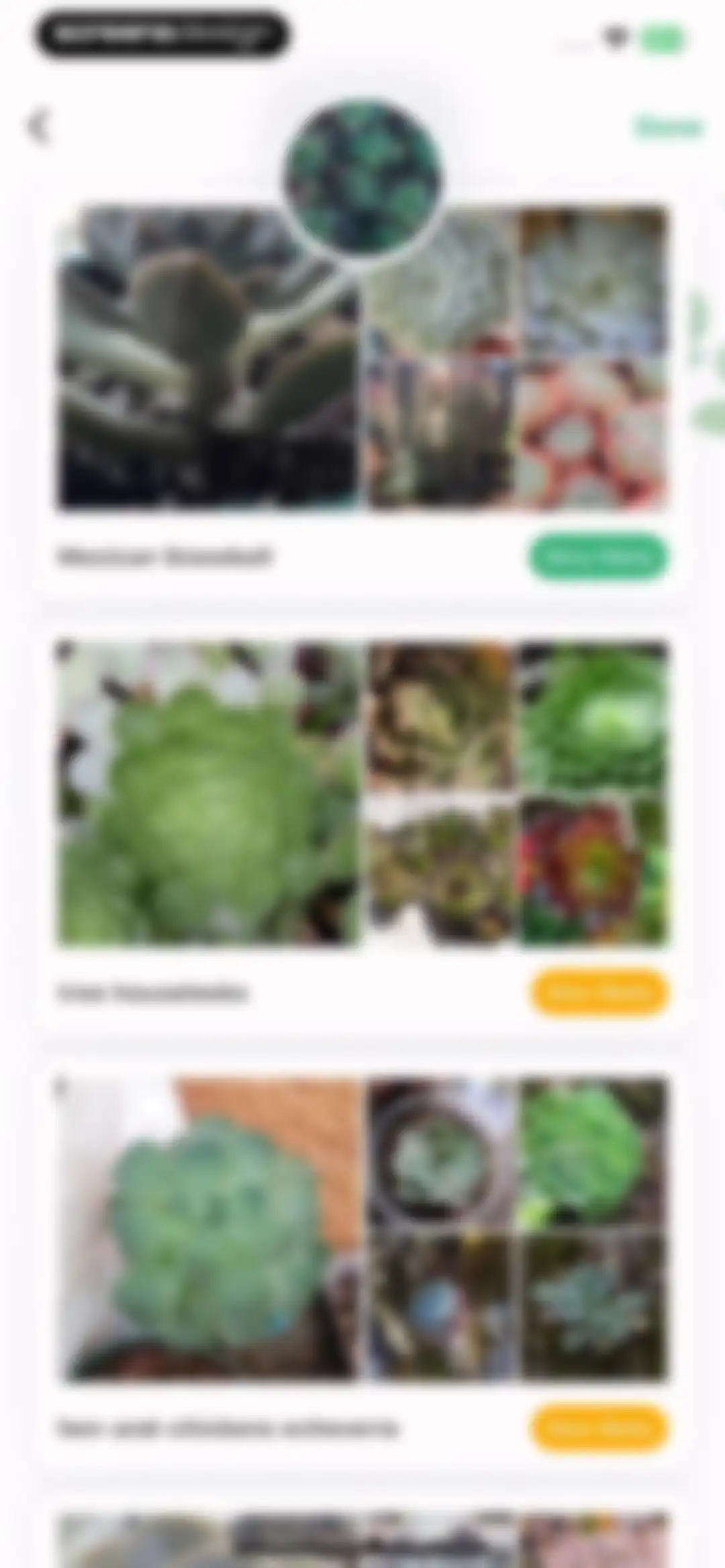 Plant Identification ++ screen 19