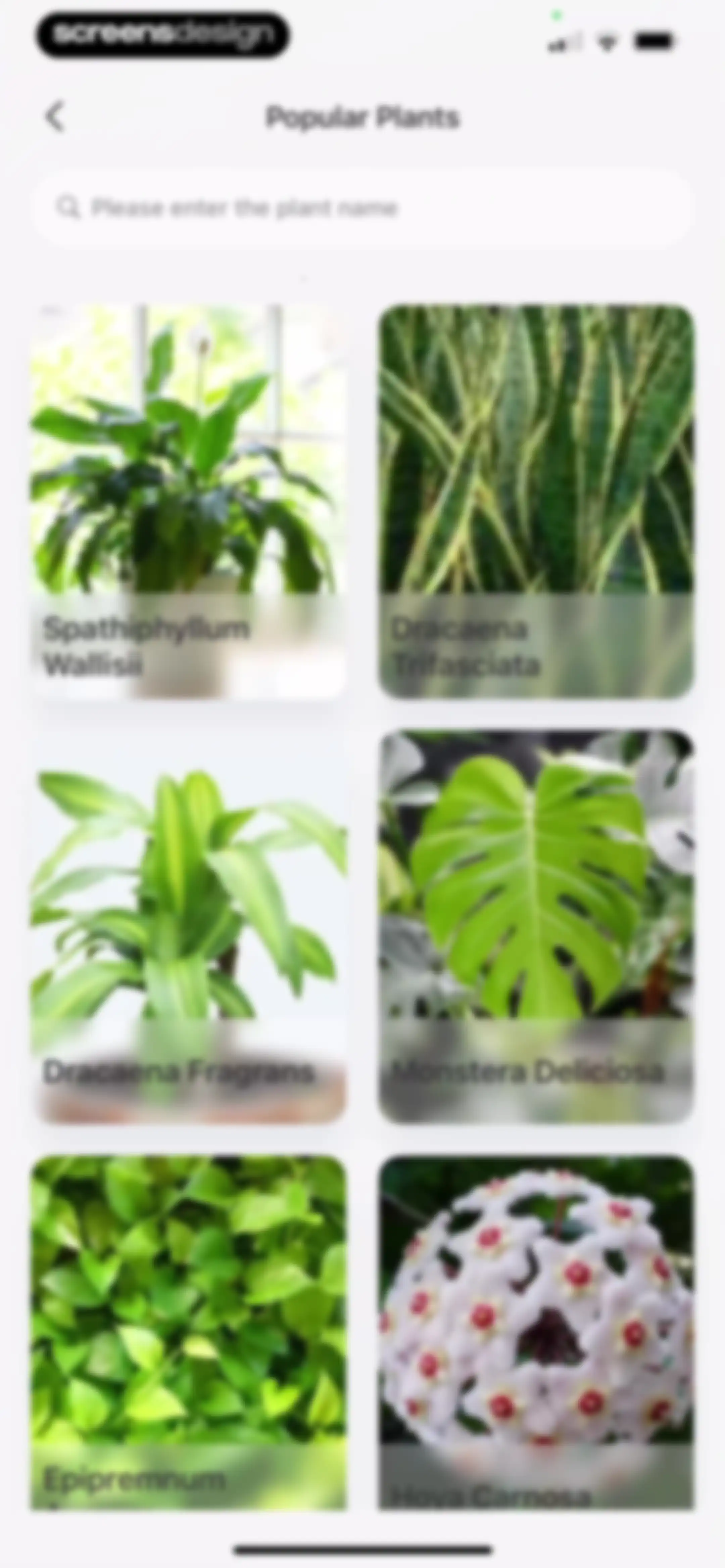 Verde Finder : identify plants screen 56