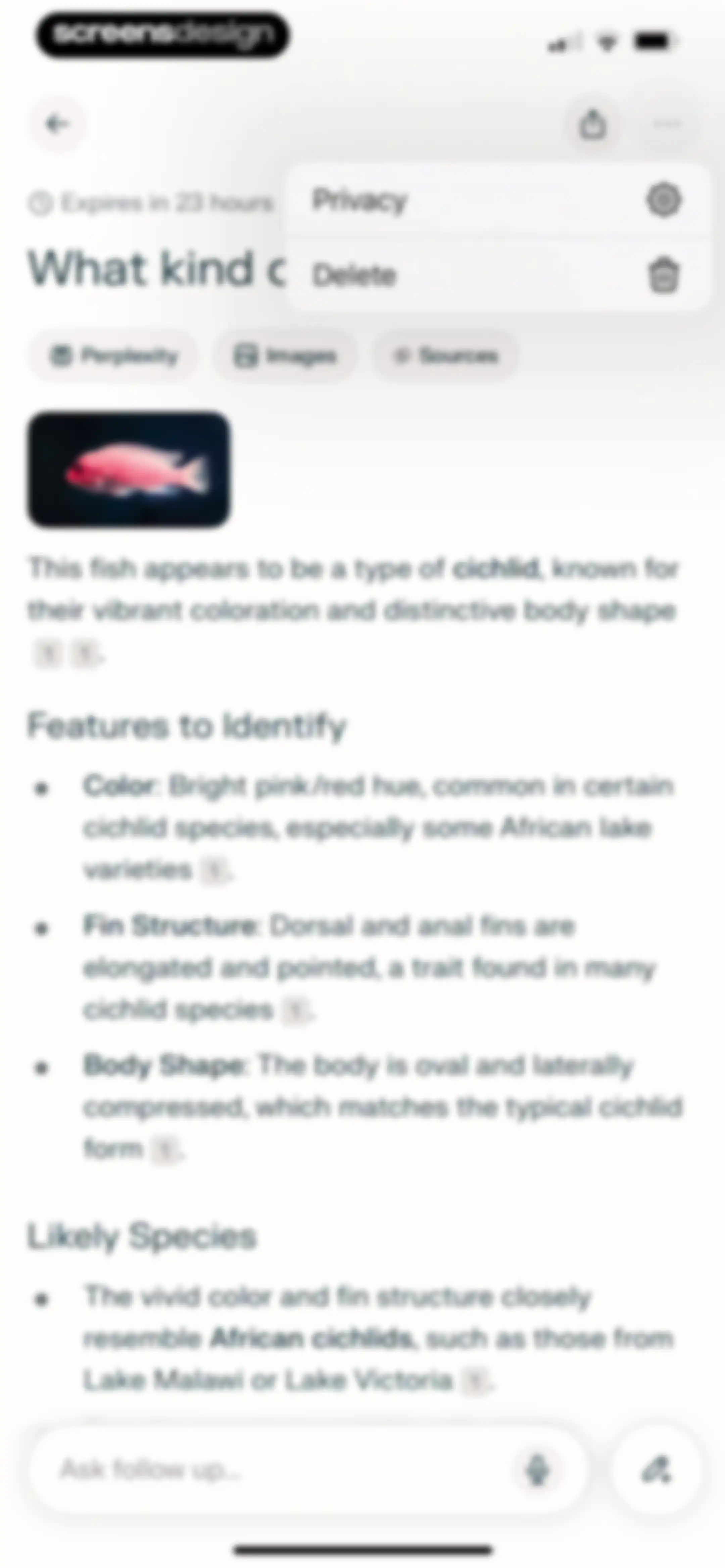 Perplexity - AI Search & Chat screen 55