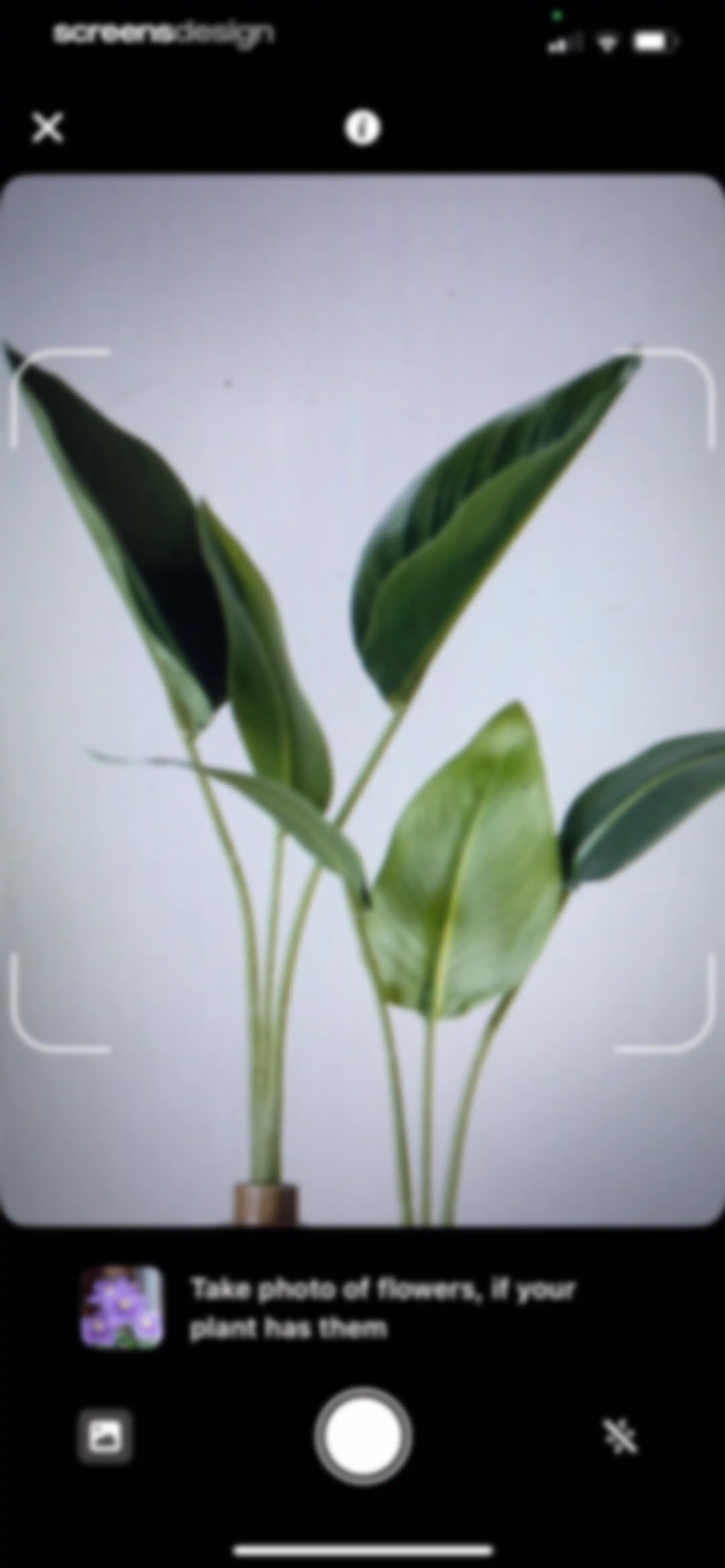 Plant Identifier & Care App screen 23