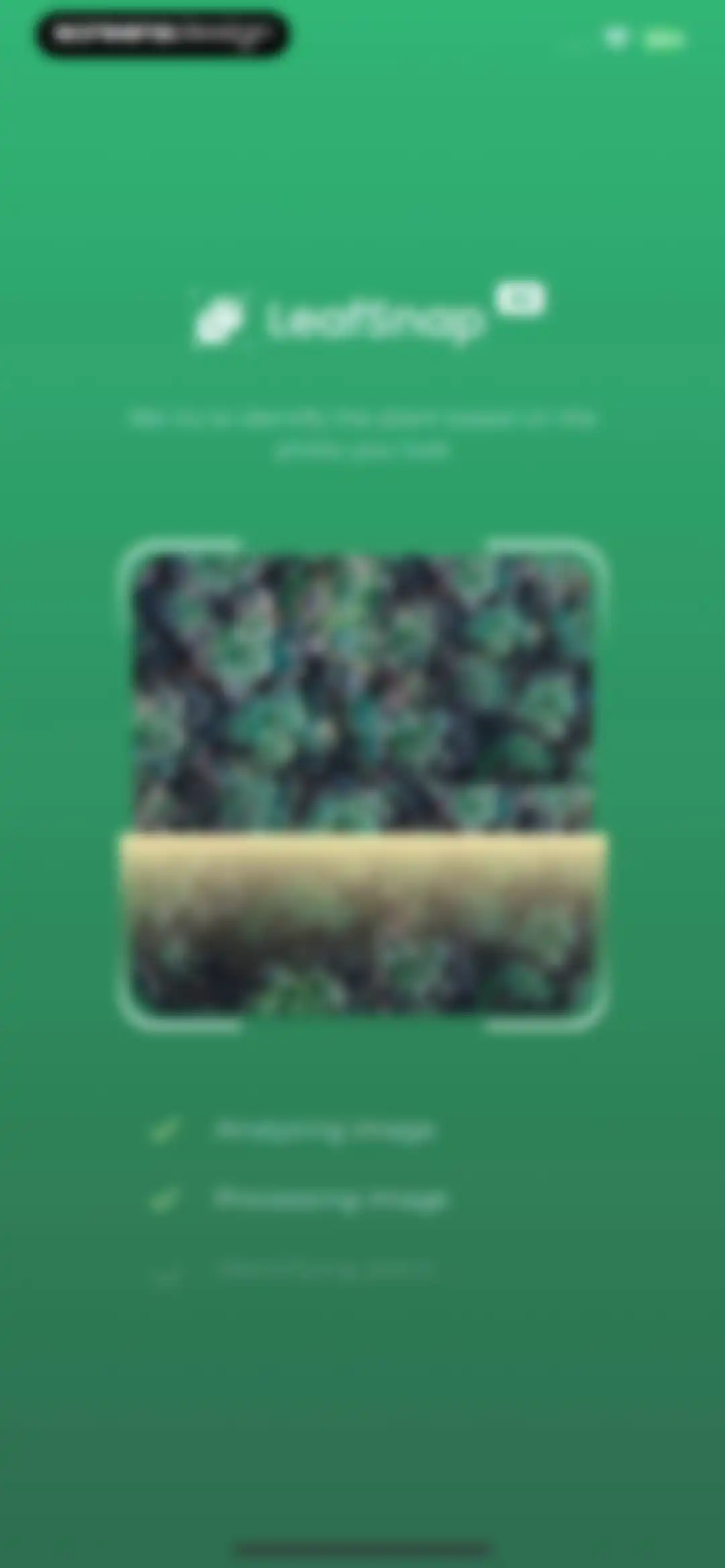 Plant Identifier: LeafSnap screen 27