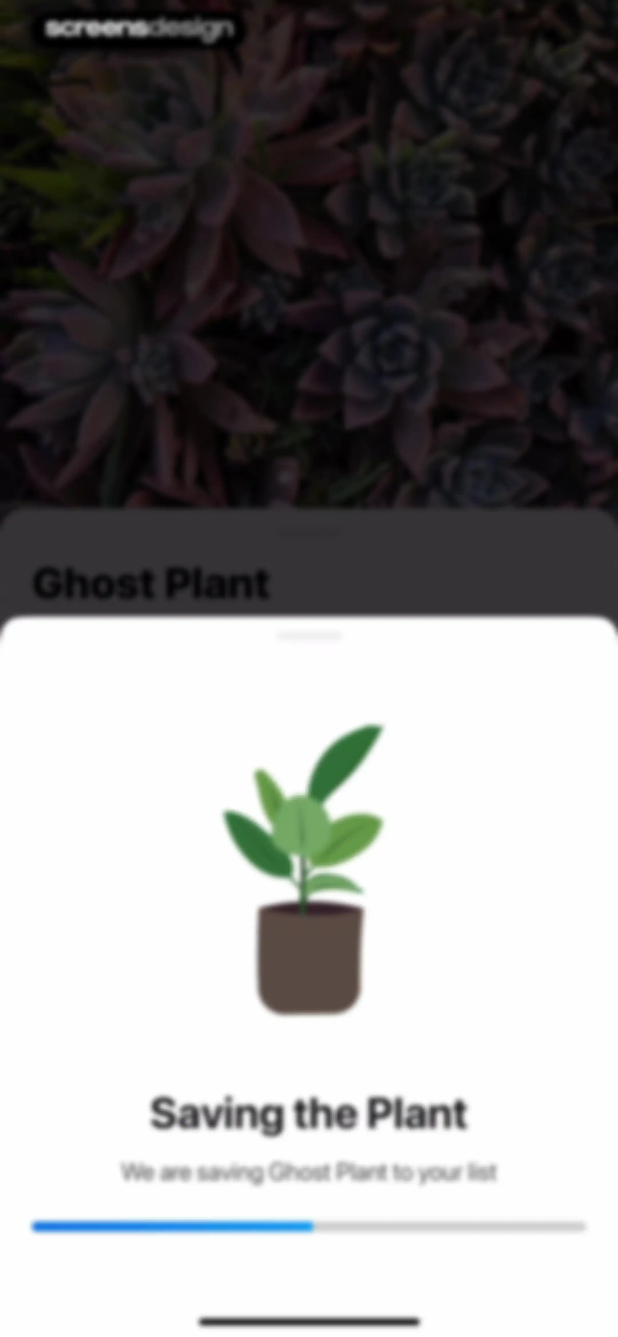 Plant App: Plant Identifier screen 127