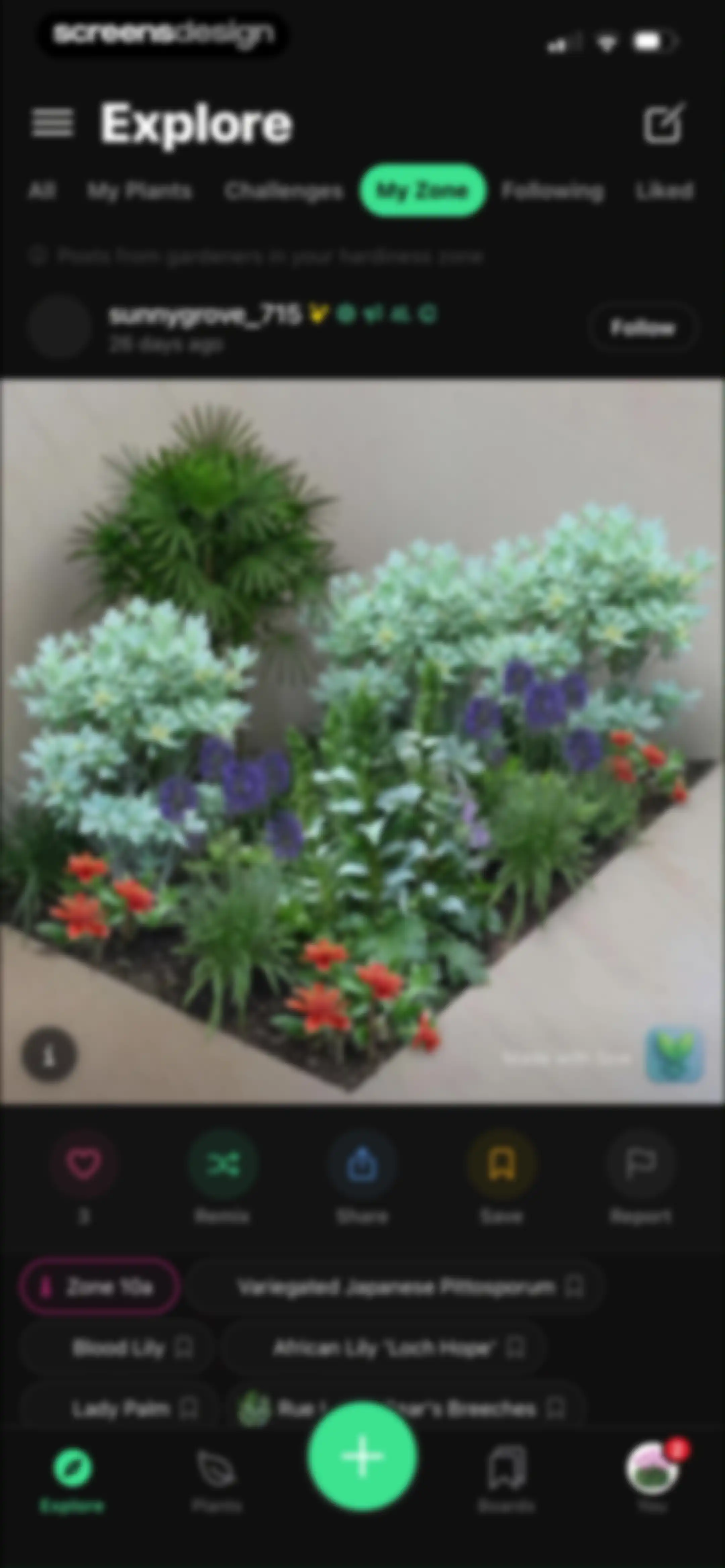 Sow: Garden & Landscape Design screen 98