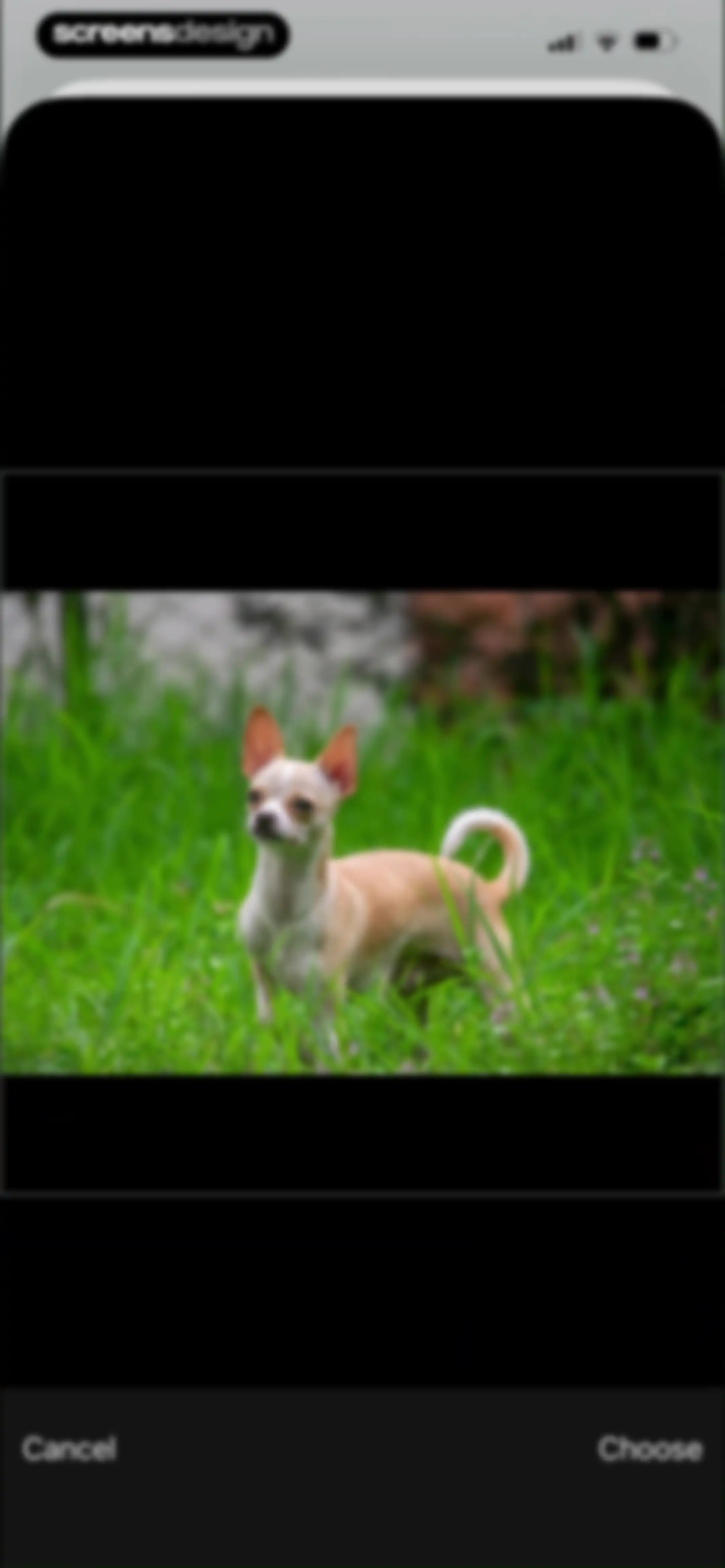 Atlas Photo – Photo Companion screen 133
