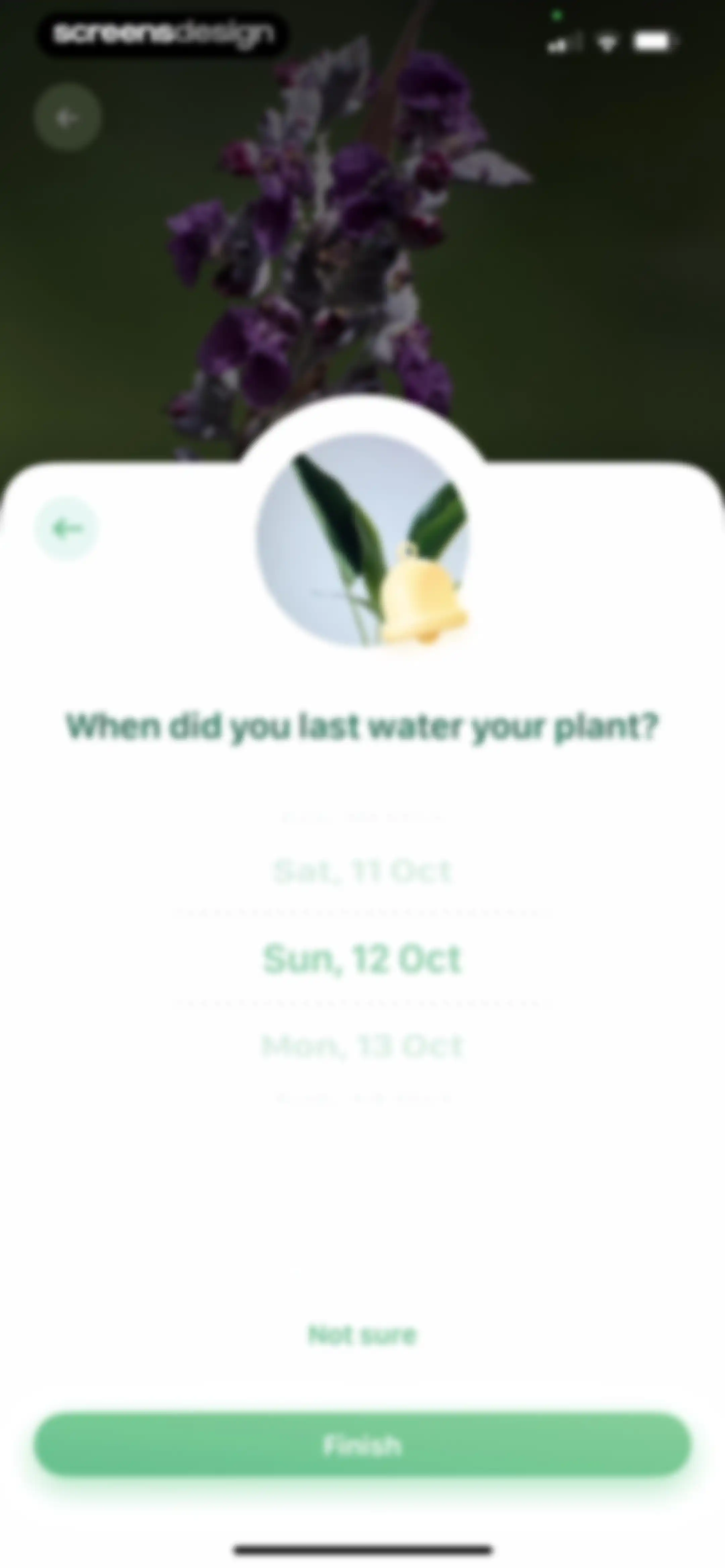 Blossom - Plant Care Guide screen 107