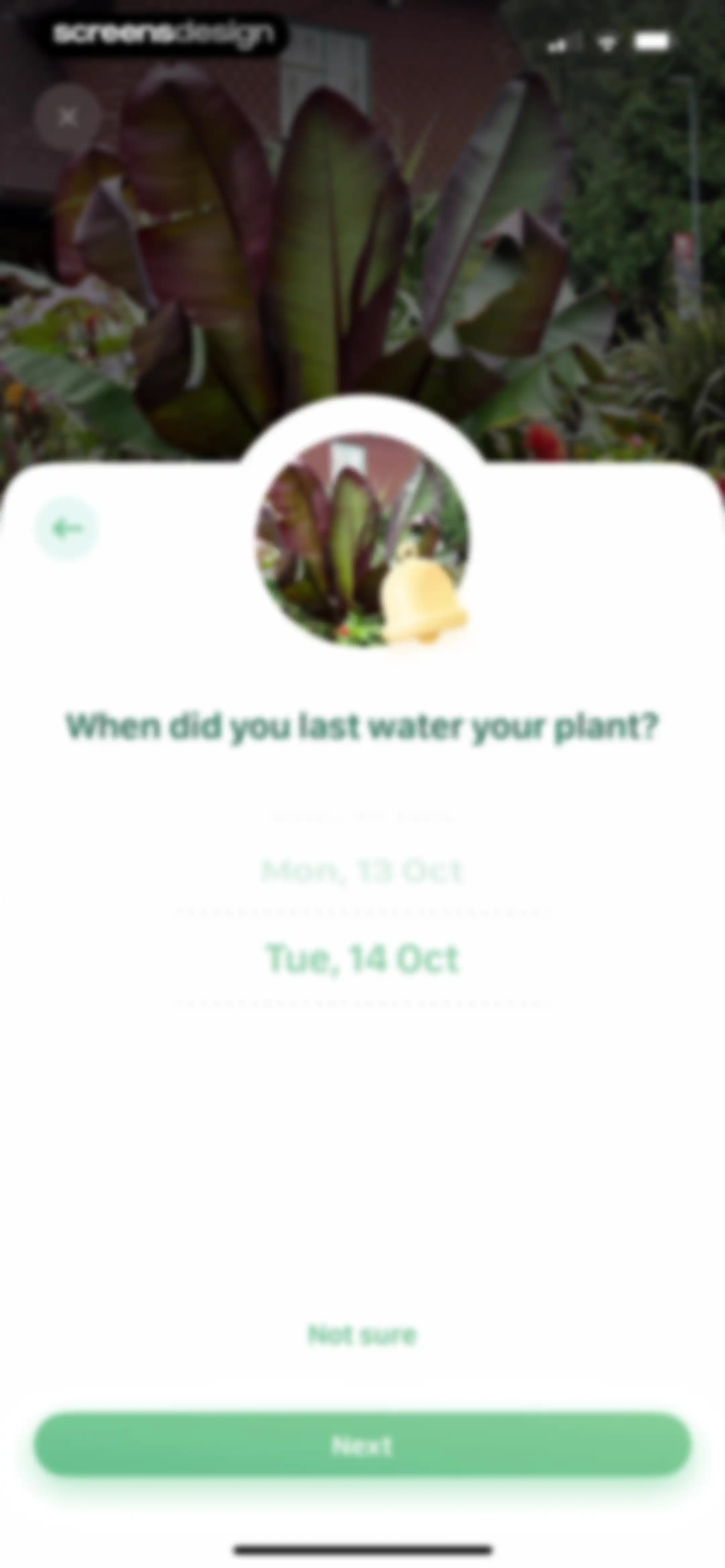 Blossom - Plant Care Guide screen 42