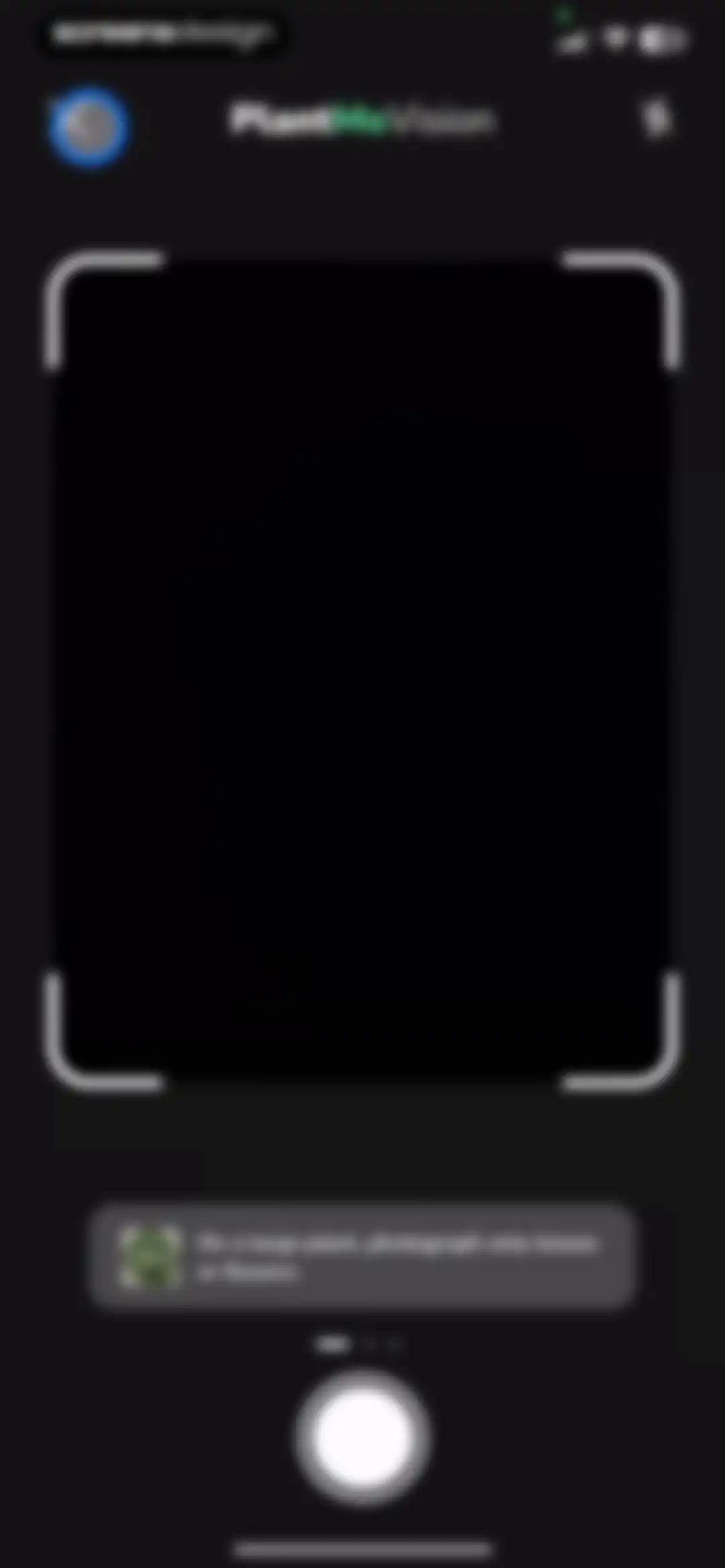 Plant Identifier - PlantMe screen 37