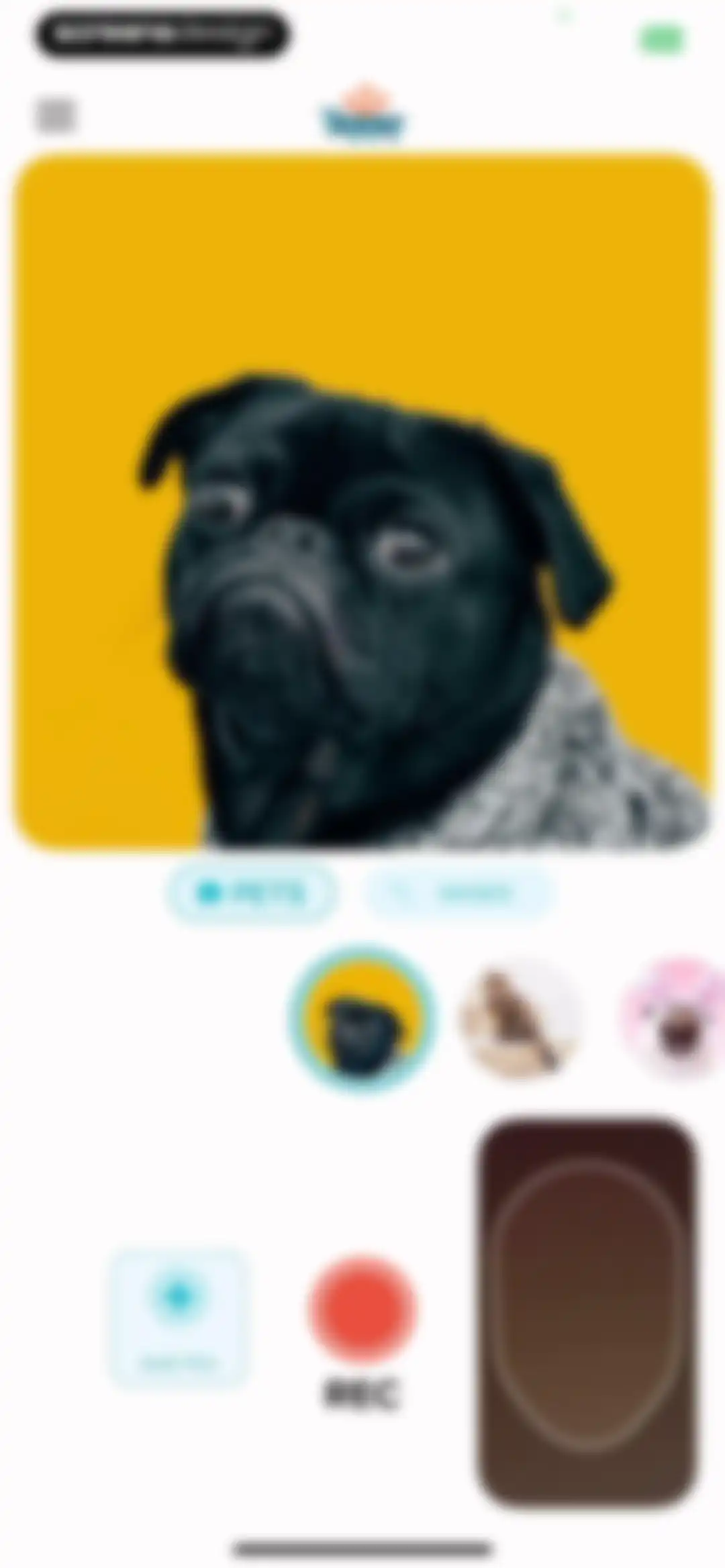 My Talking Animal & Pet App screen 15