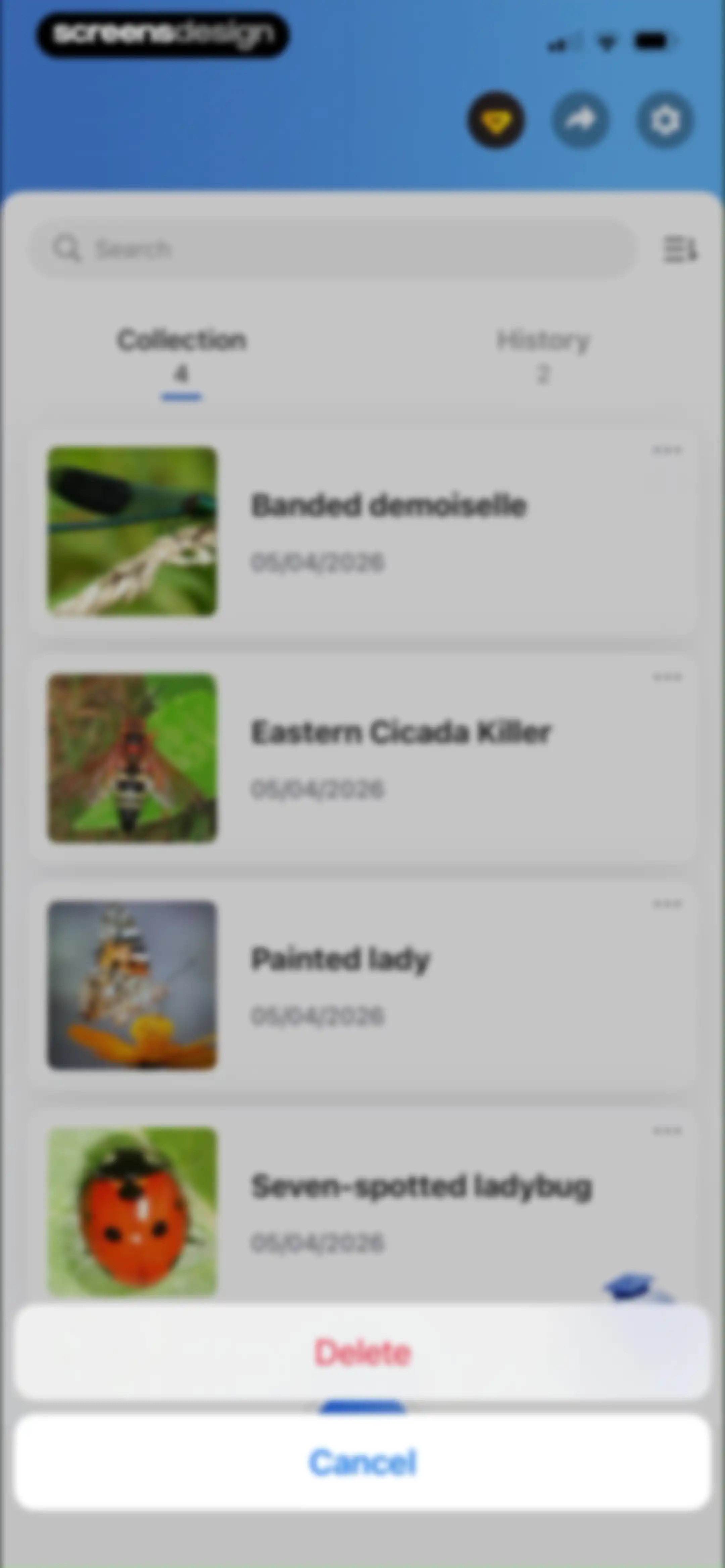 Picture Insect: Bug Identifier screen 101