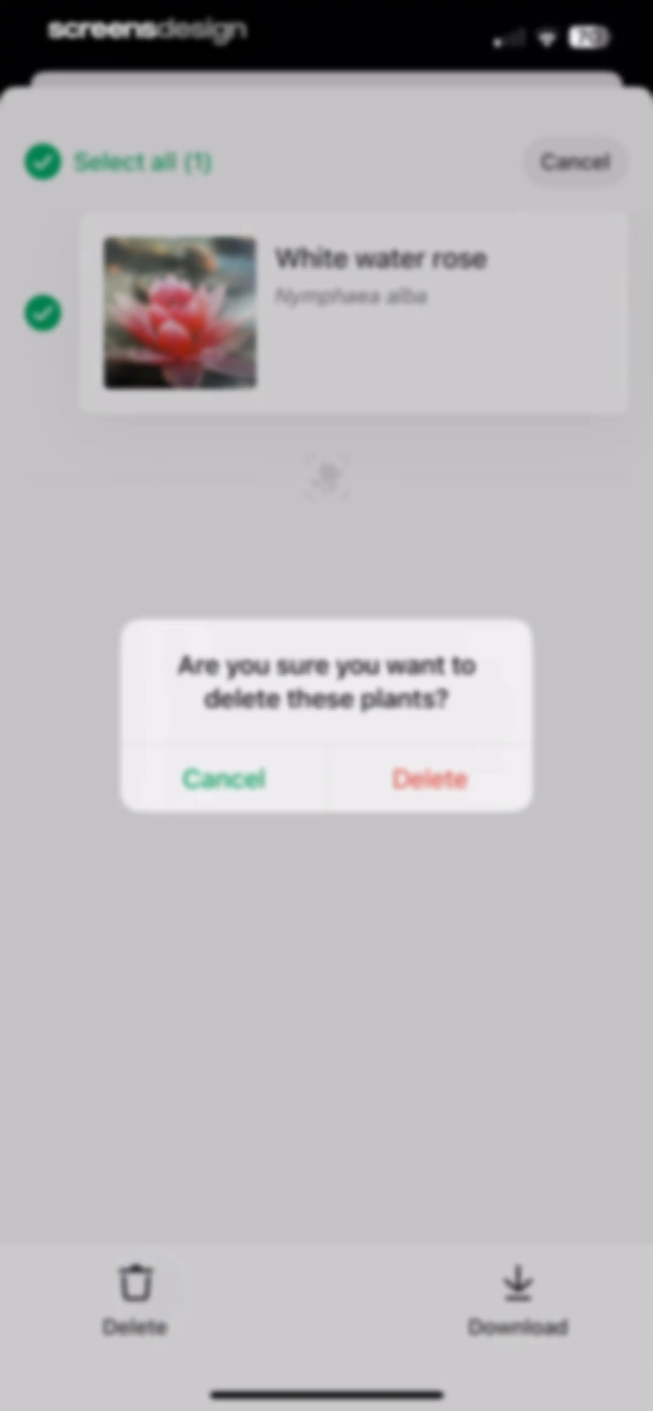 PictureThis - Plant Identifier screen 193
