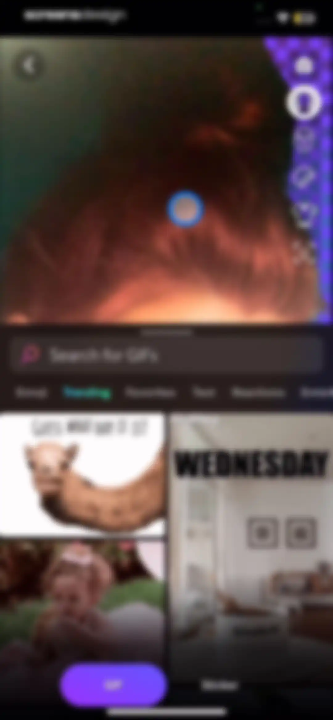GIPHY: The GIF Search Engine screen 66