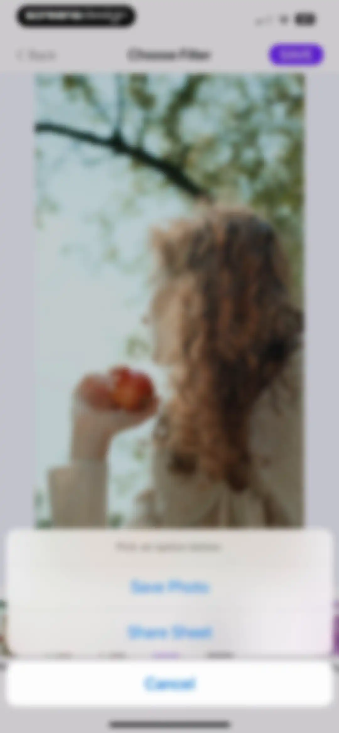 Frame Grabber screen 17